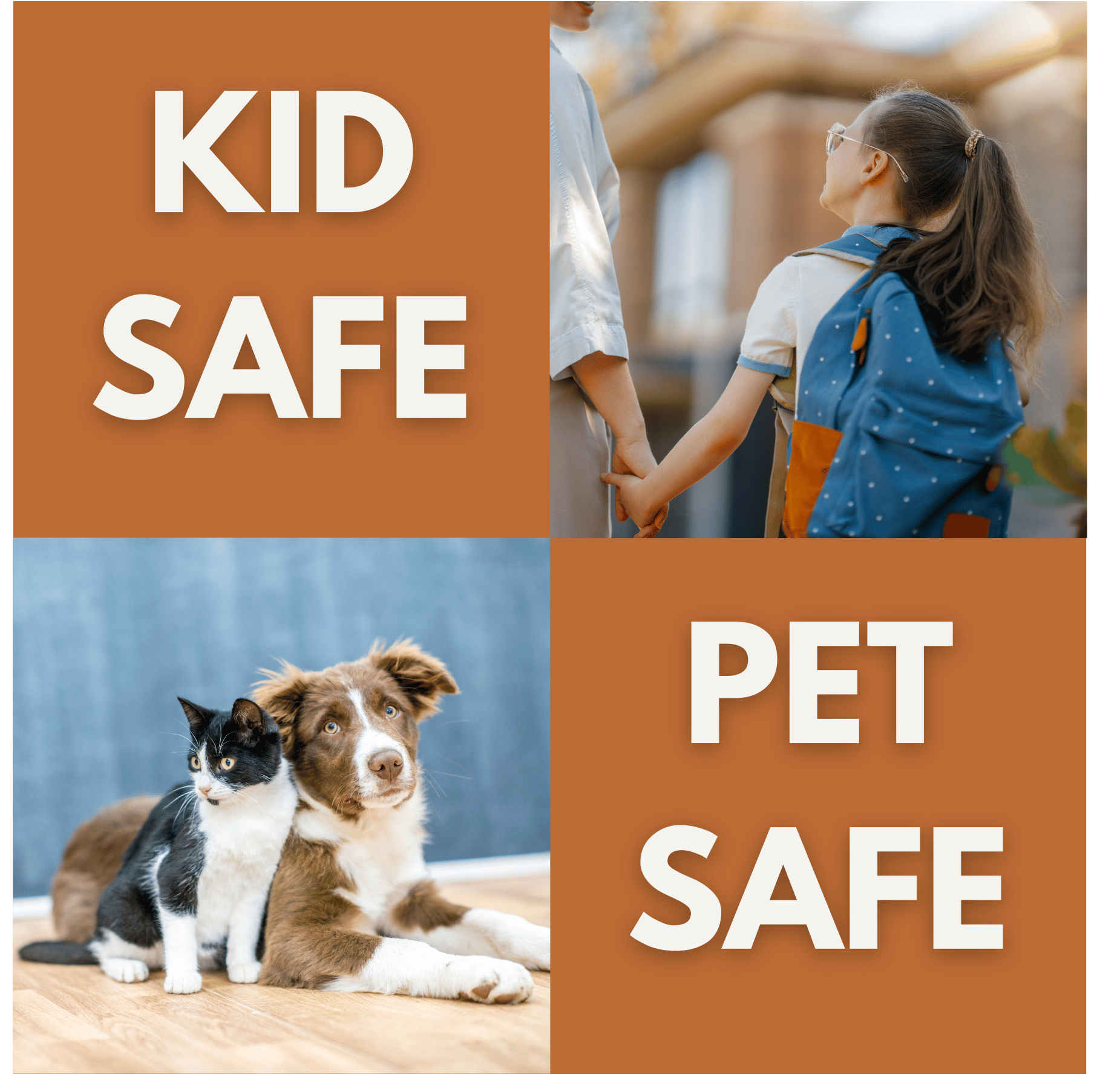KID SAFE PET SAFE 2.png