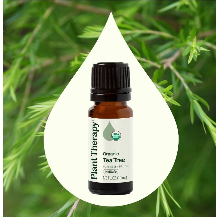 🌿 Organic Tea Tree Essential Oil – 10ml