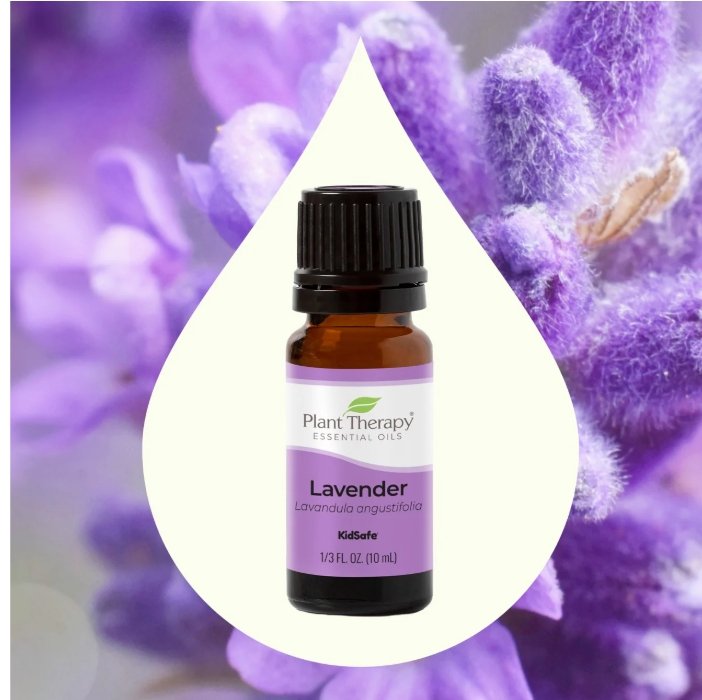 🌸 Organic Lavender Essential Oil – 10ml