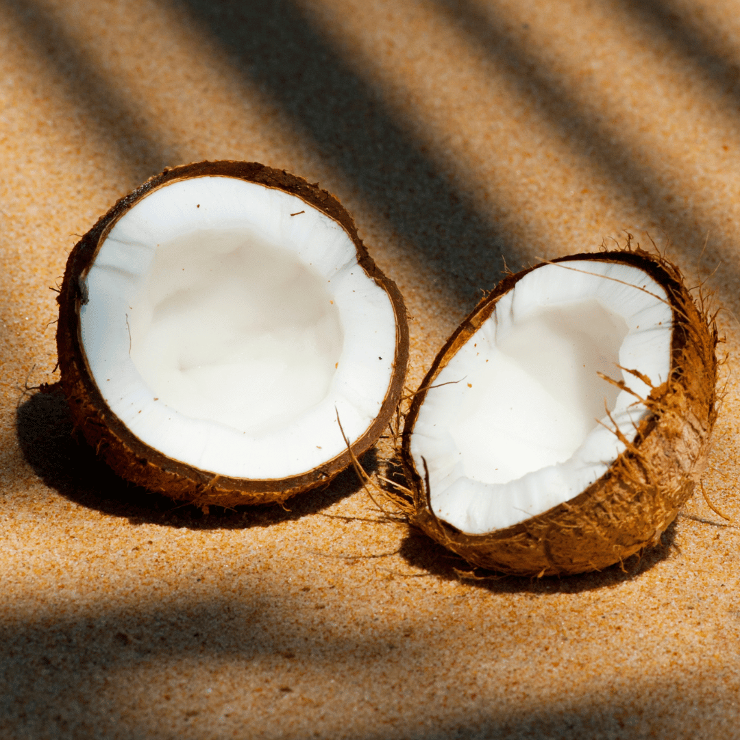 Coconut.png