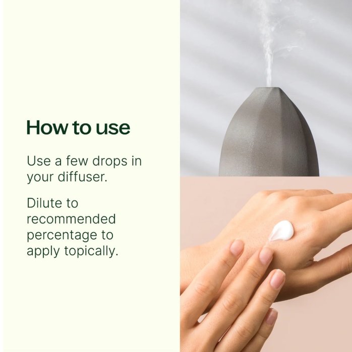Screenshot_4-2-2025_14935_www.planttherapy.com.jpeg