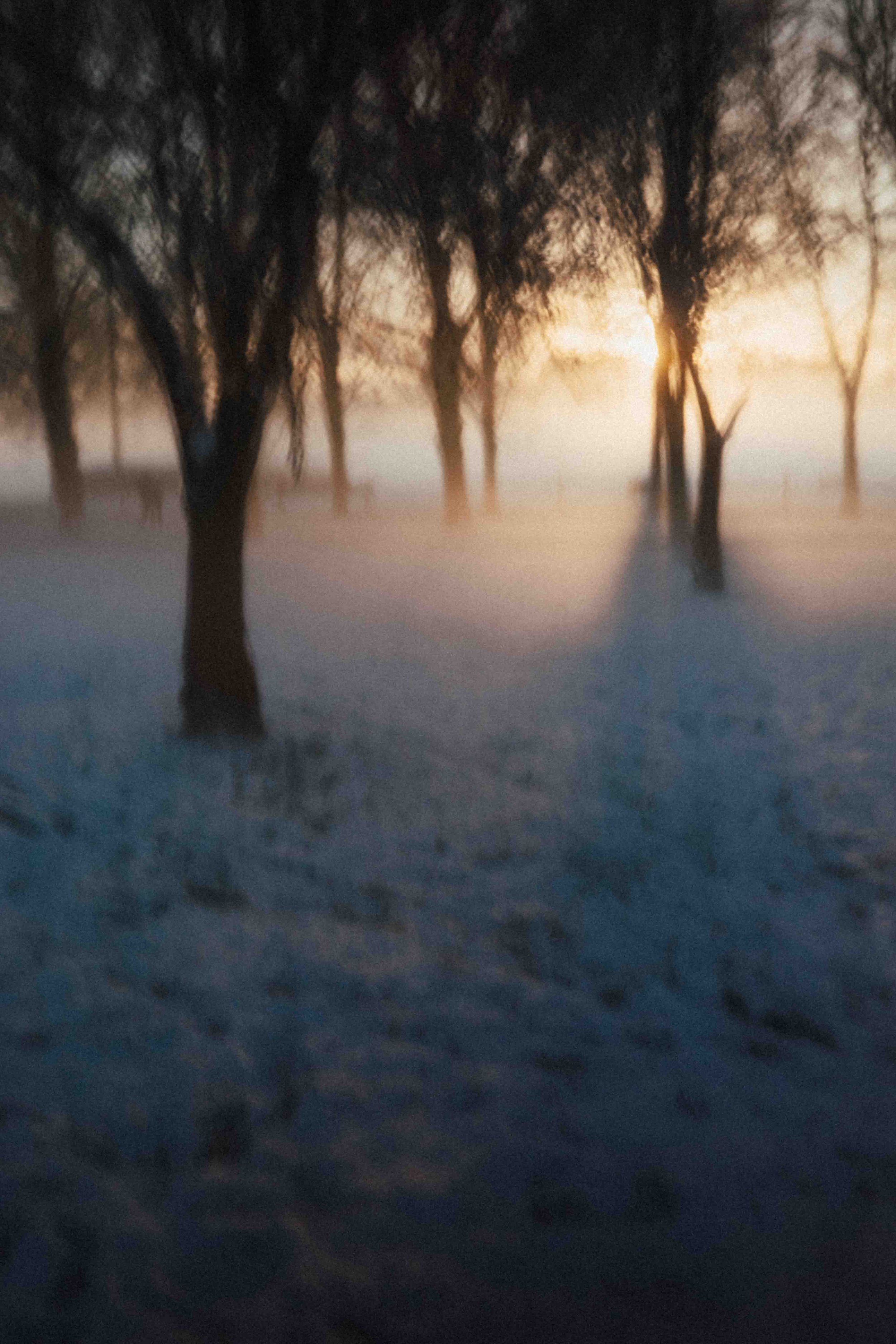 Une journée d'hiver 2.jpg