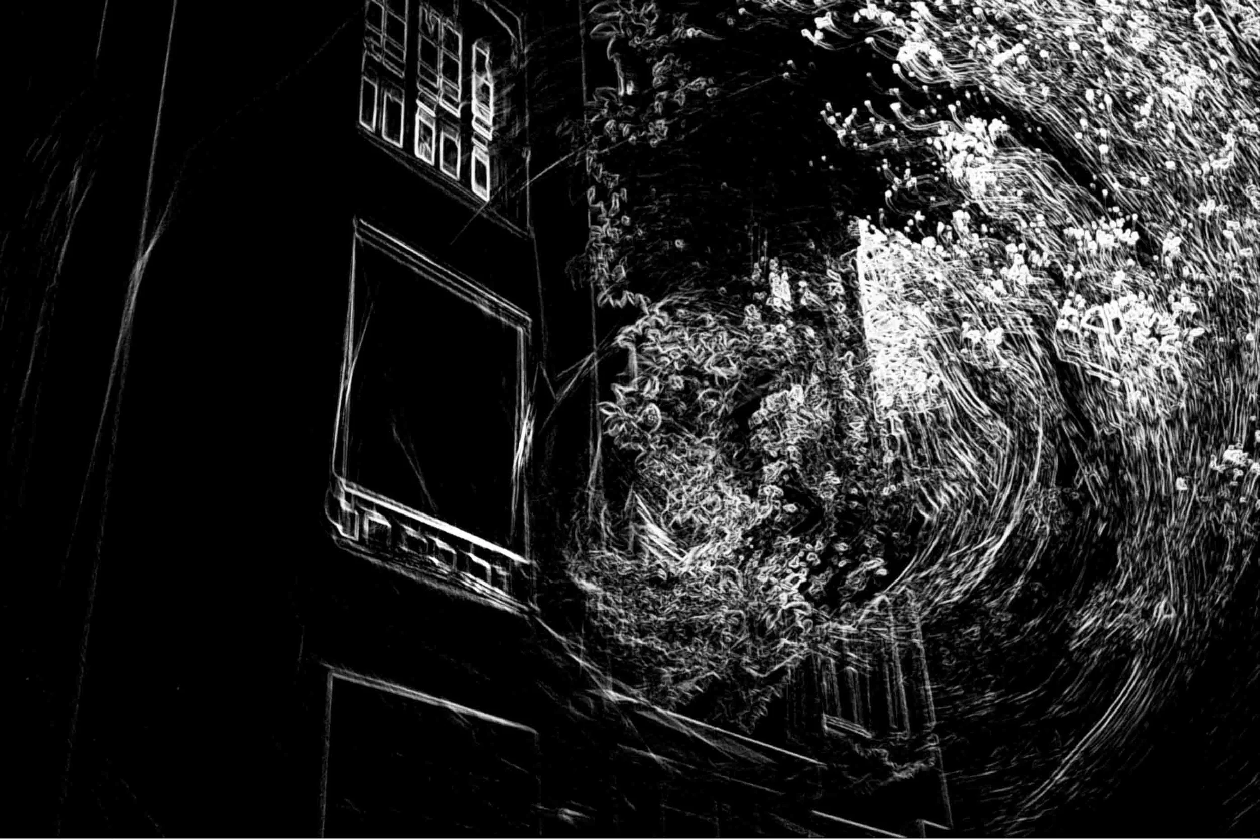 Fenêtre sur rue.jpg