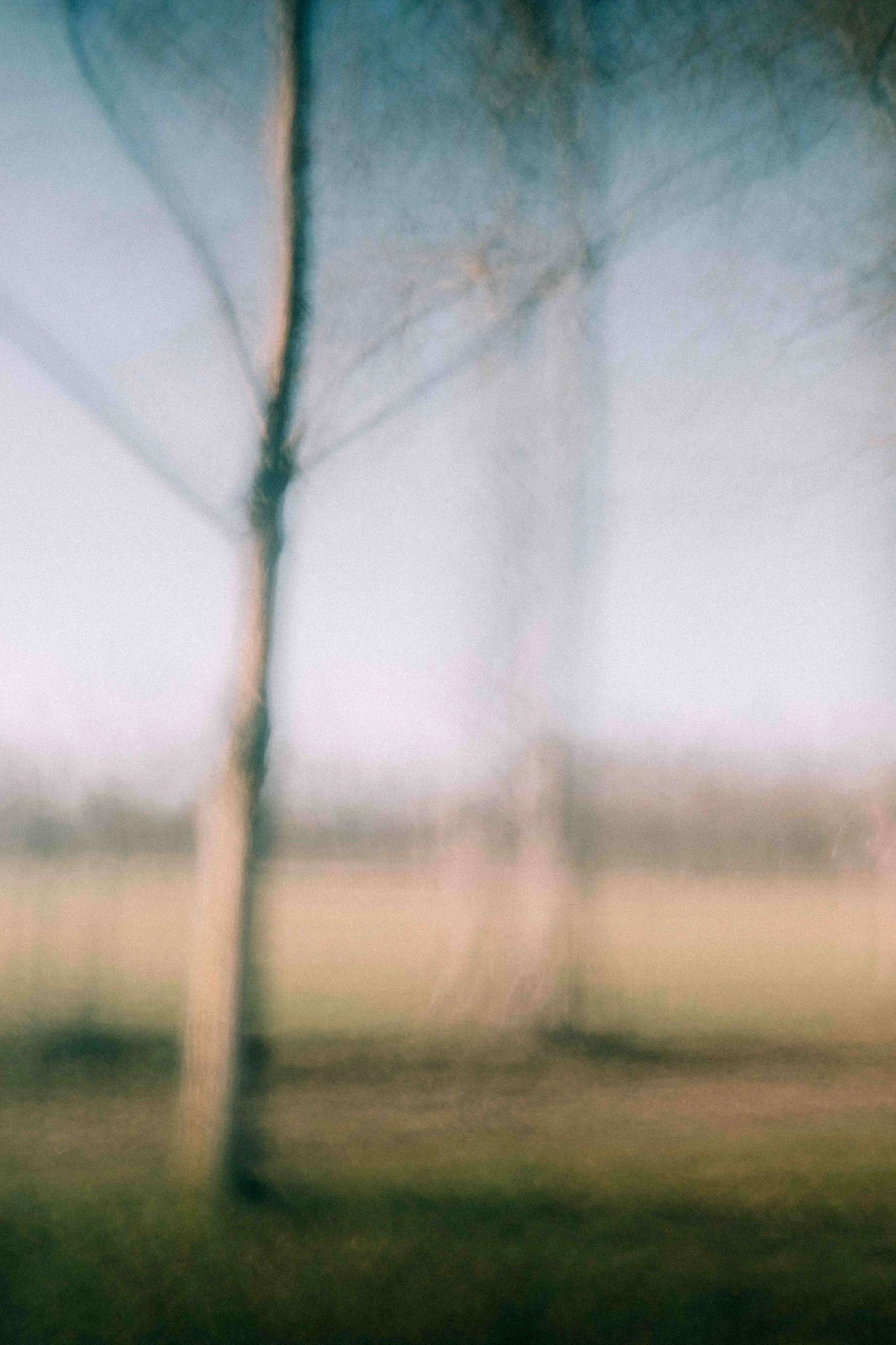 Le parc au soleil.jpg