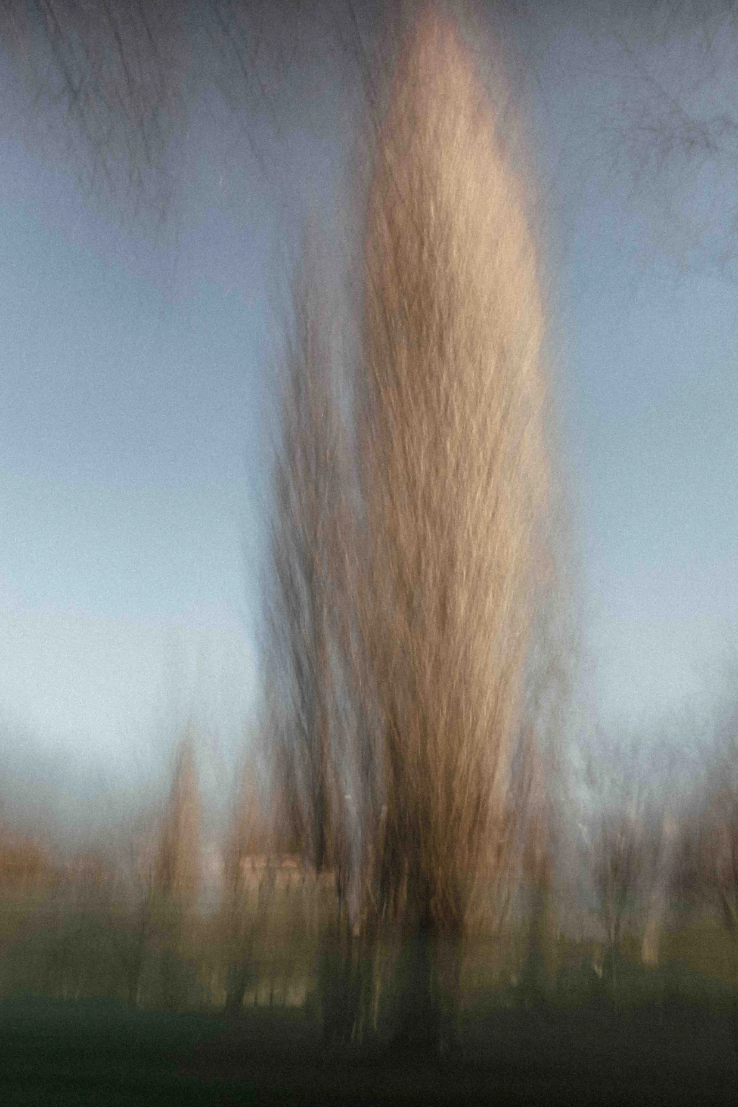 Arbre en chef.jpg