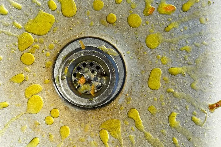 8 Household Items You Can Never Pour or Put Down the Drain — Marco