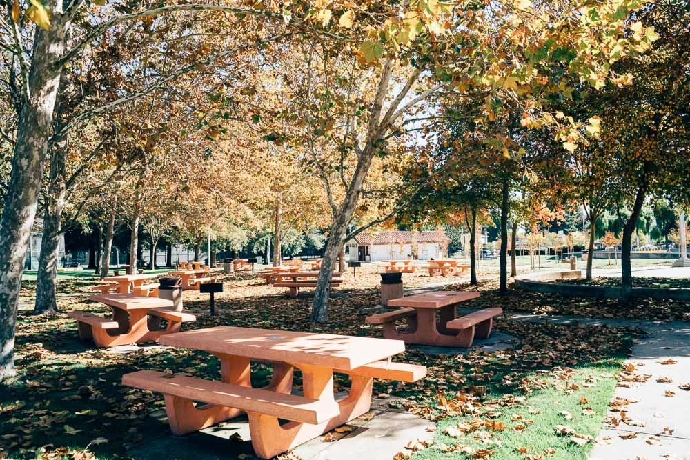 Athen-Downs-Picnic-1.jpg
