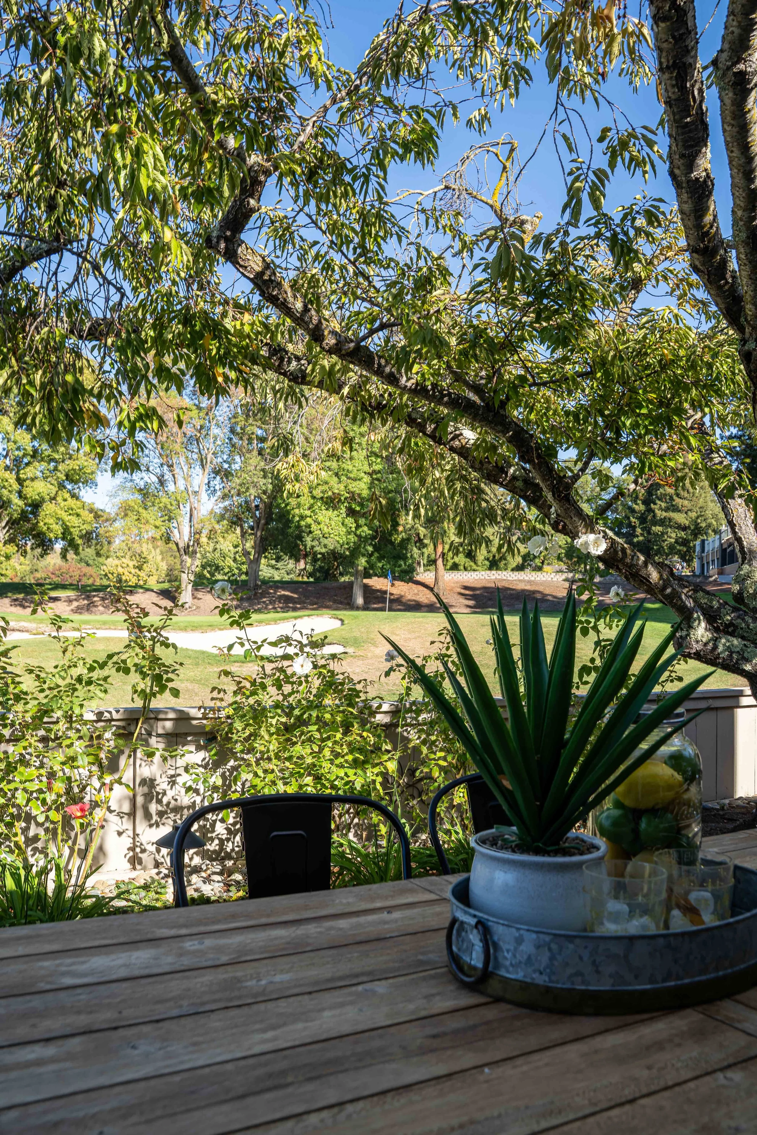 TON04681-HDR.jpg