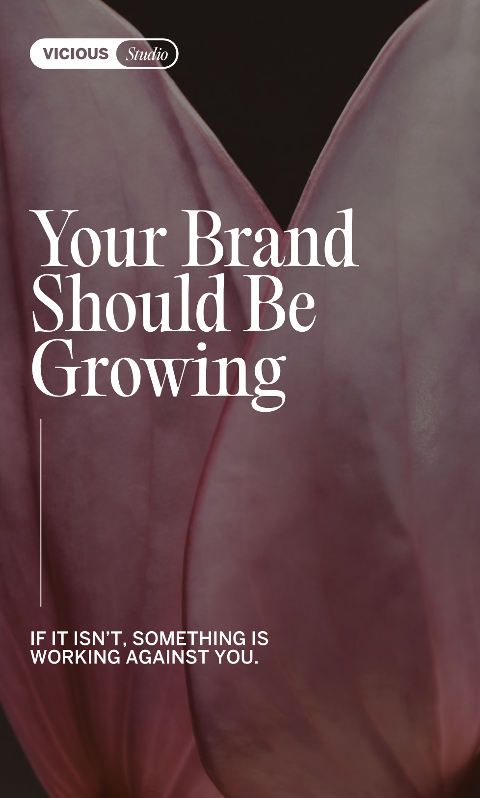 Close-up of pink flower petals with overlaid text that reads "Your Brand Should Be Growing" and "If it isn’t, something is working against you." Small Vicious Studio logo in the top left corner.