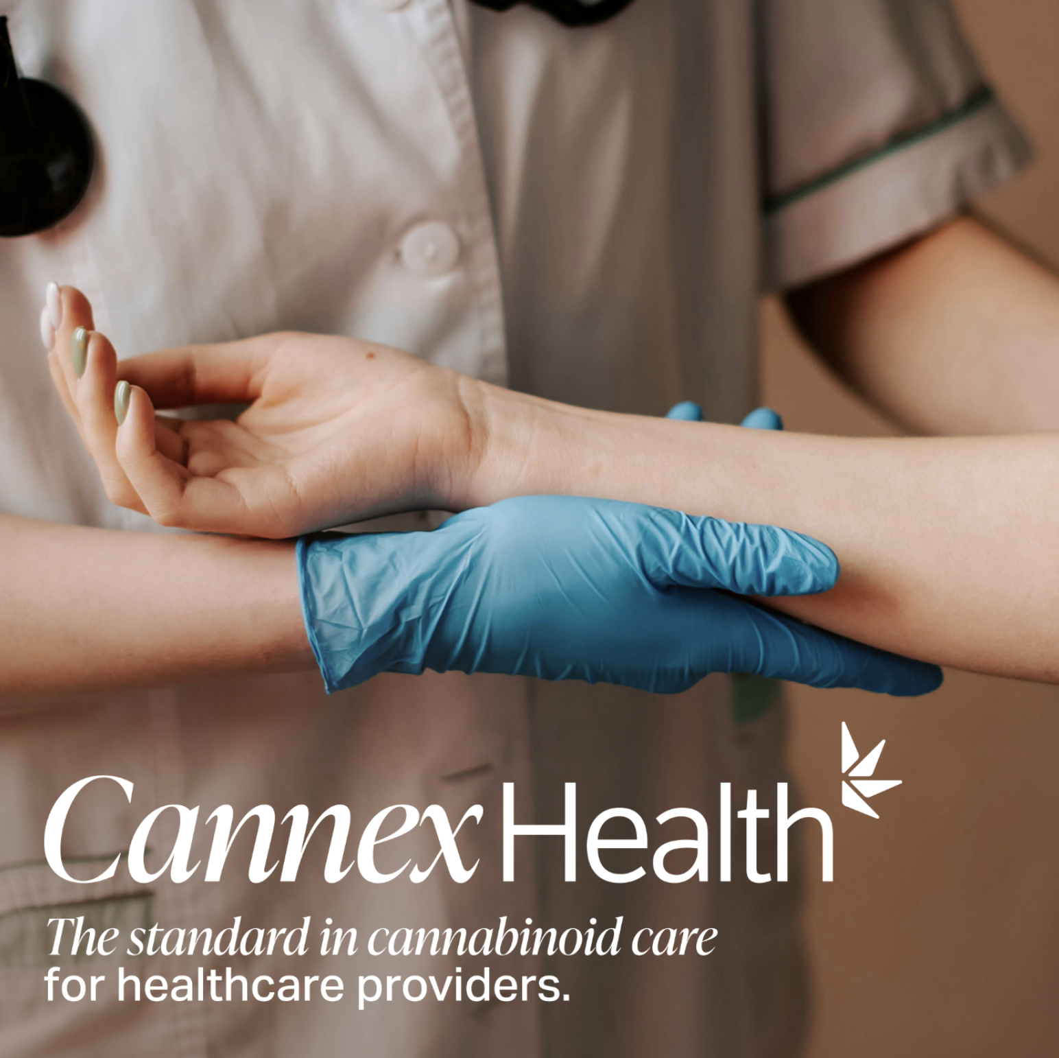 Screenshot 2025-12-03 at 9.01.42 PM.png