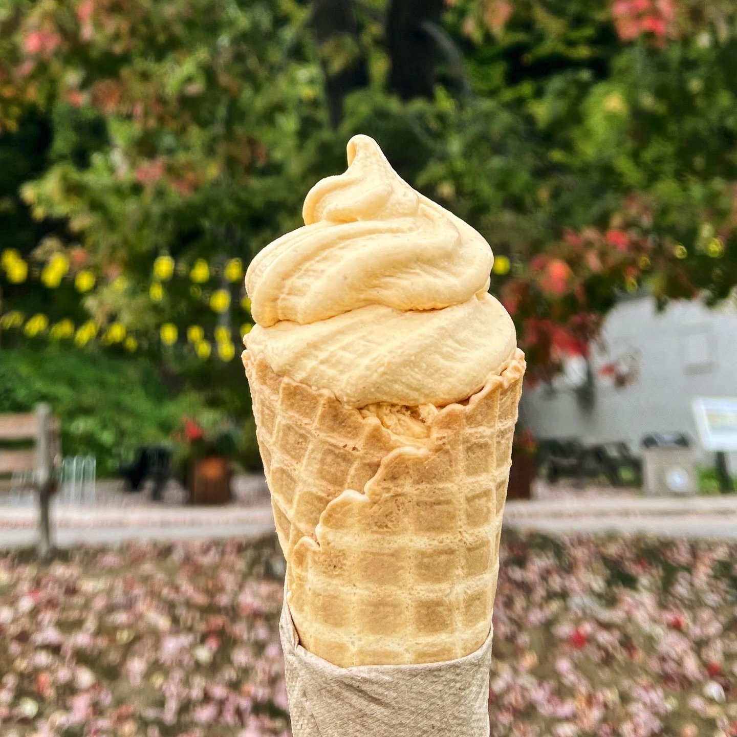 🍂PUMPKIN SPICE SZN🍂
NOUVEAU swirl &eacute;dition limit&eacute;e &agrave; la Citrouille &Eacute;pic&eacute;e 🎃

&Ccedil;a go&ucirc;te le C-I-E-L et c&rsquo;est dispo en quantit&eacute;es limit&eacute;es (en version v&eacute;gane aussi 🥲) Vraie cit