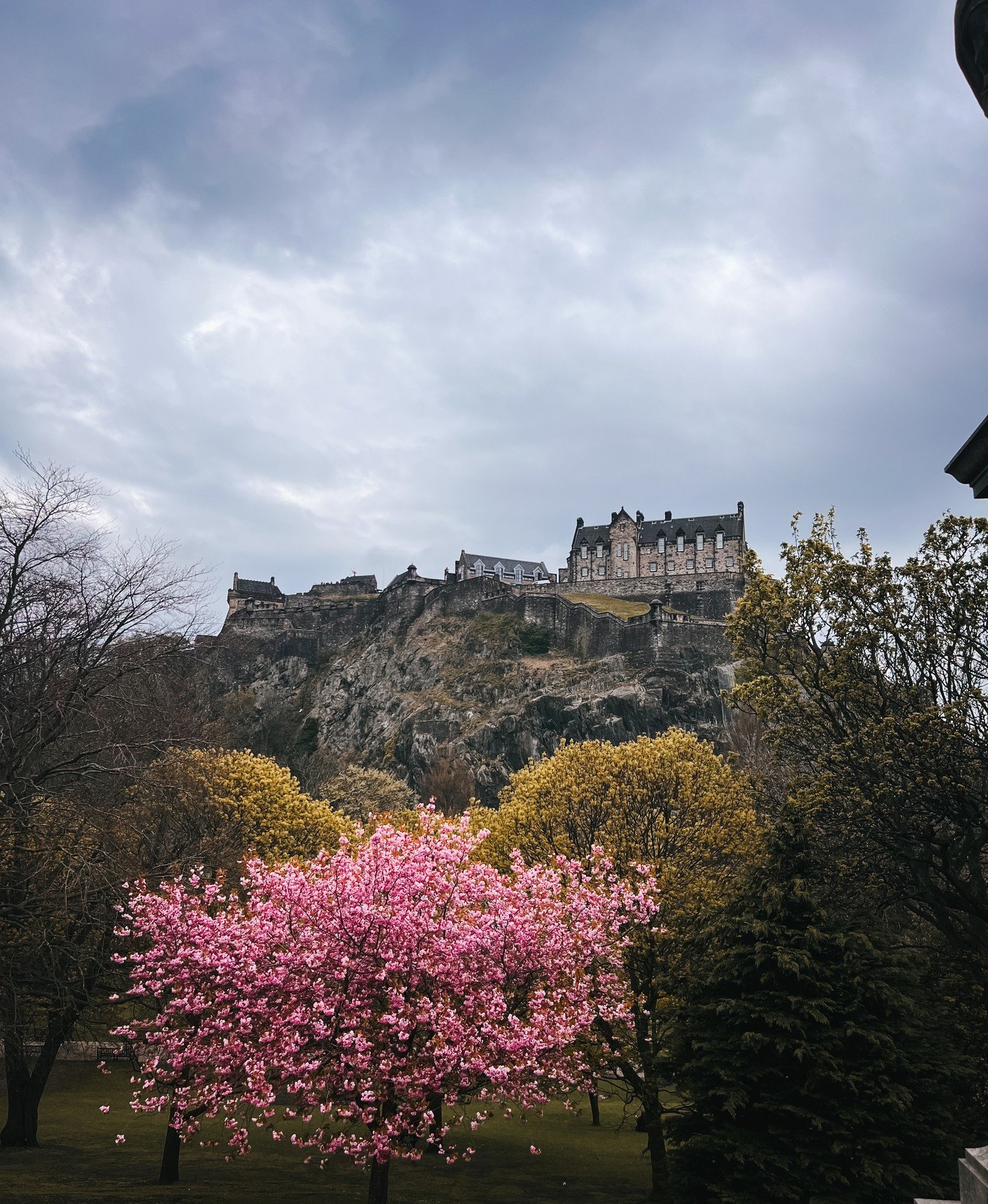 Took a couple of quick (and very necessary) breaks from essay writing the past few days to appreciate Edinburgh in bloom! 🌸