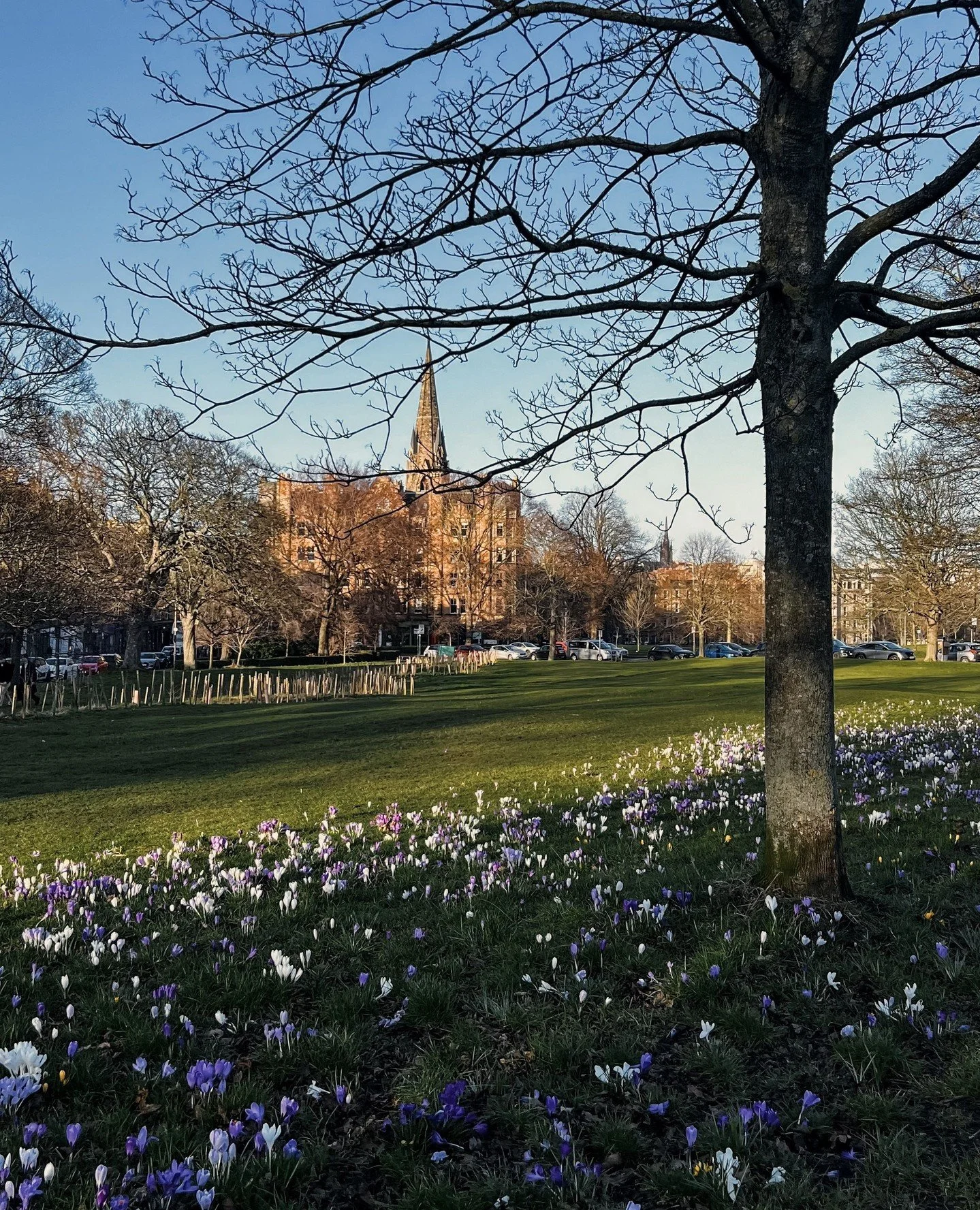 I'm writing on Substack again, and I'm obsessed with my friends. You should check it out. ⁠
⁠
Happy International Women's Day! ✨⁠
⁠
Link in bio!