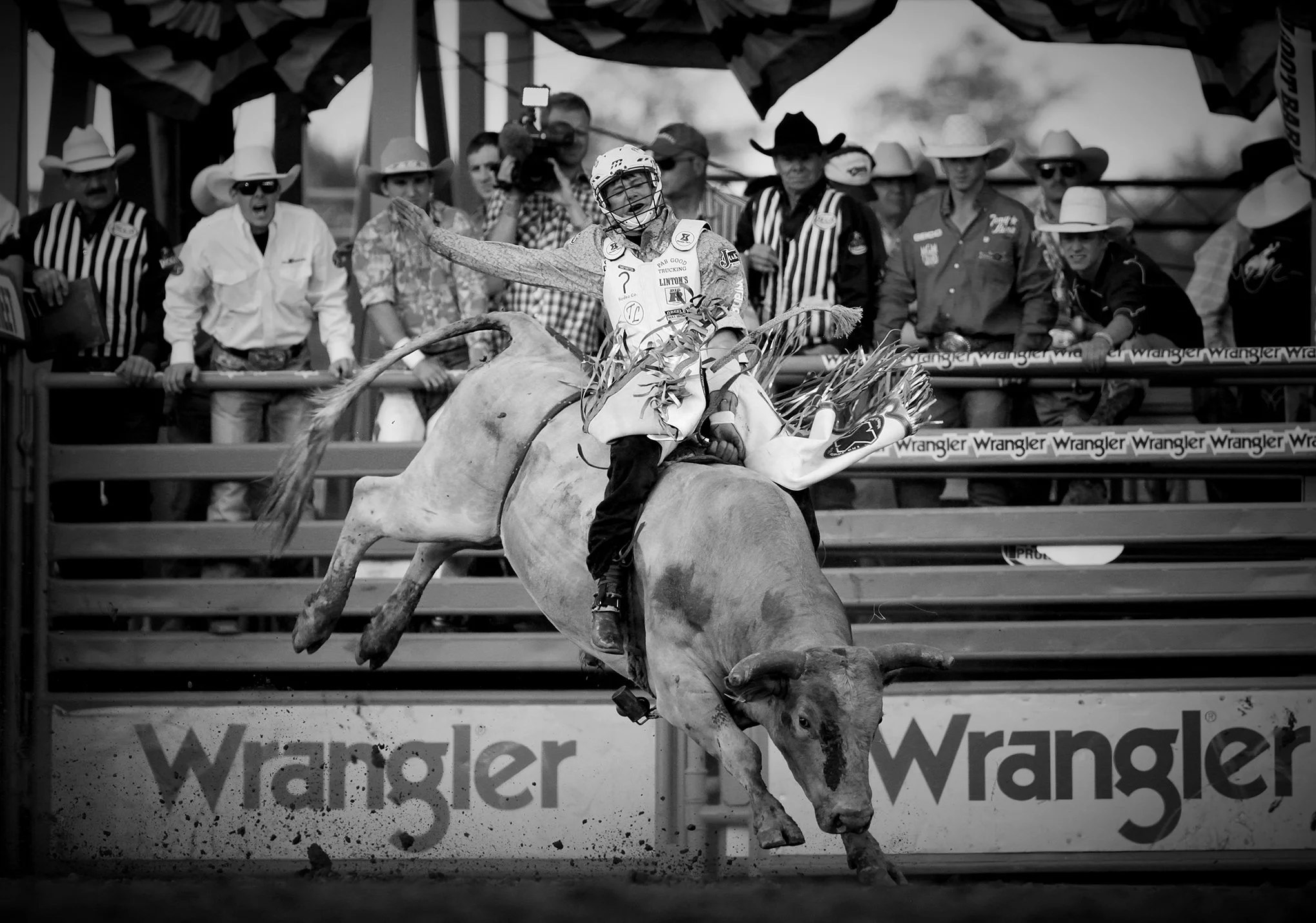 Reno Rodeo by © Dan Callister