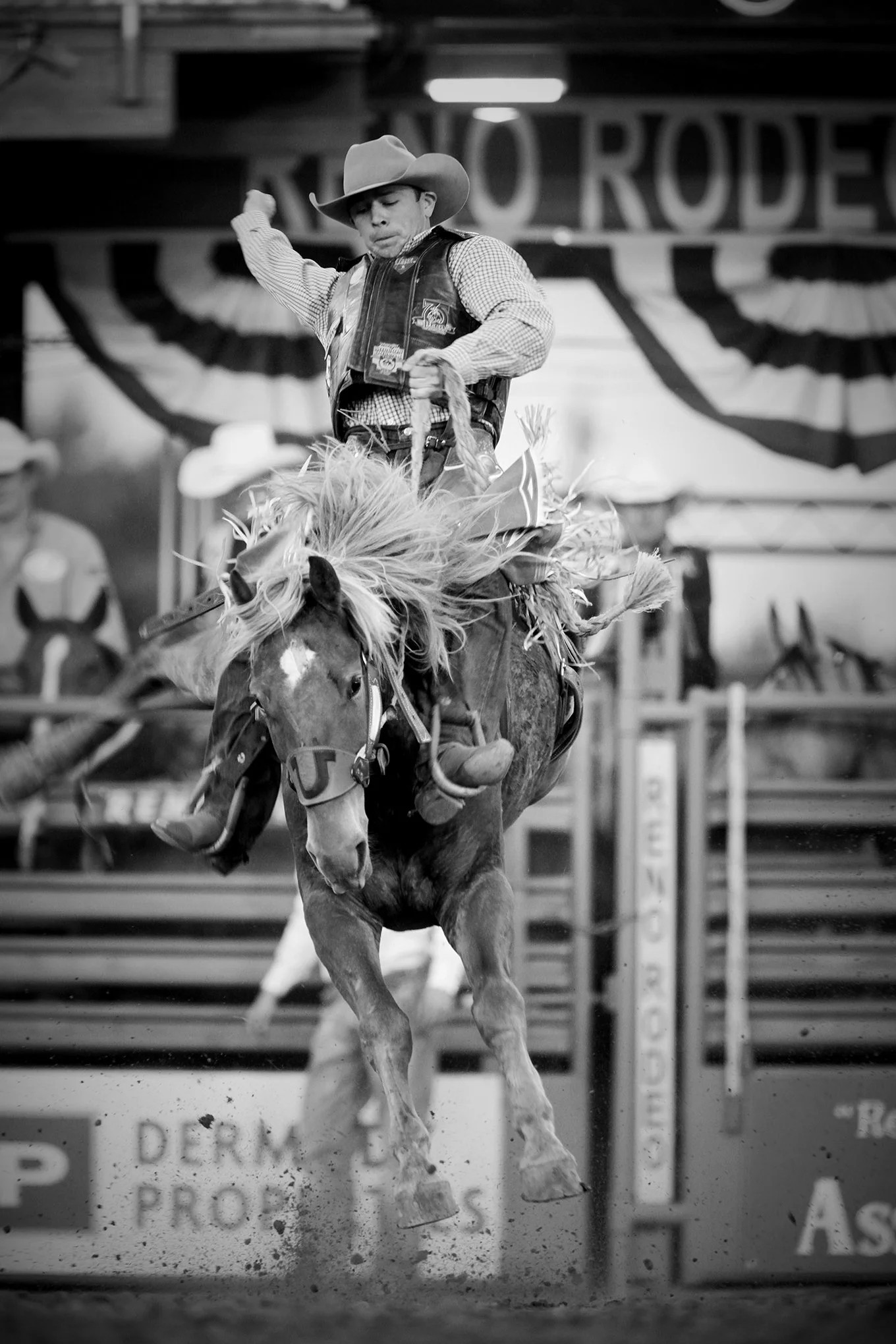 Reno Rodeo by © Dan Callister