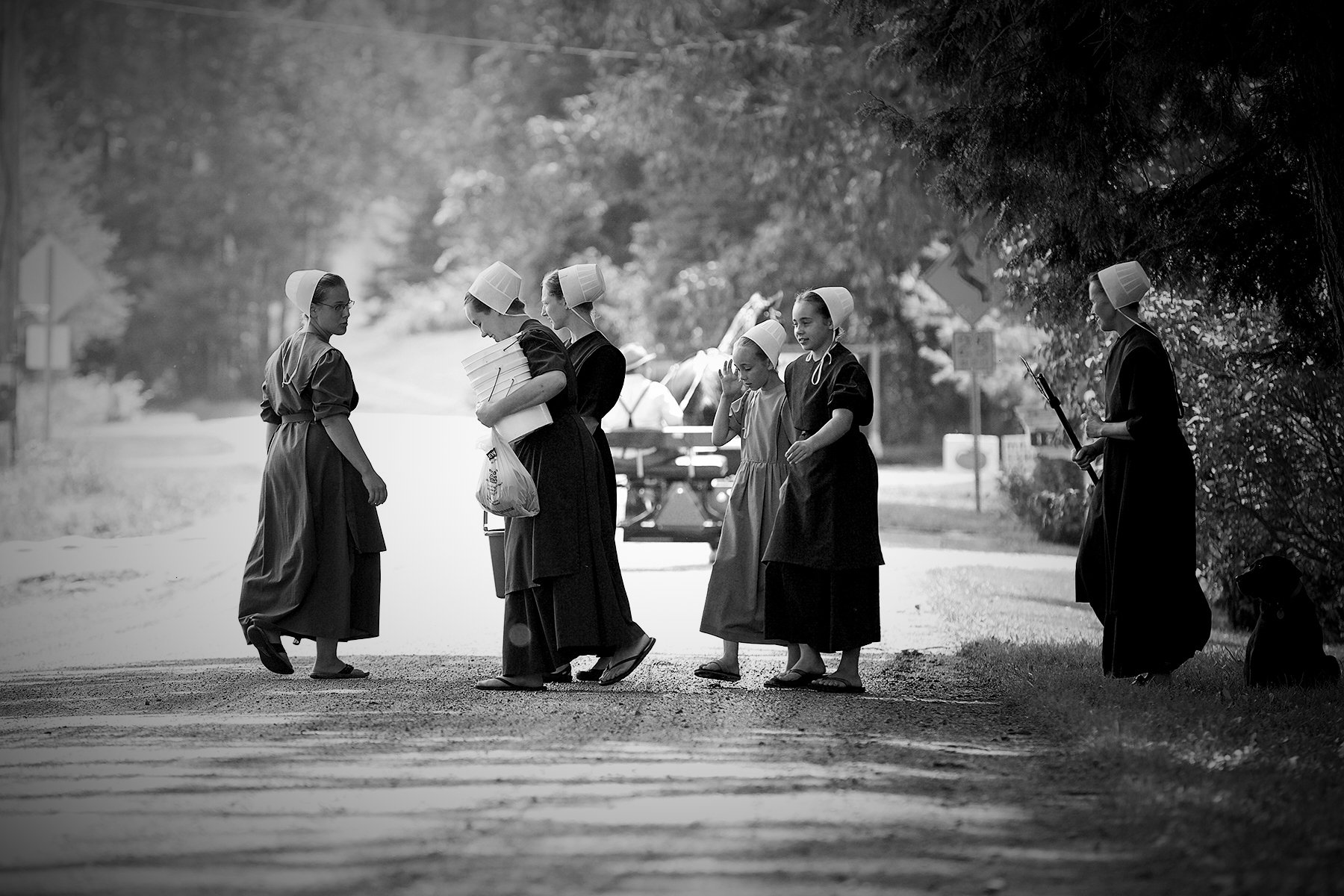 Amish life by © Dan Callister