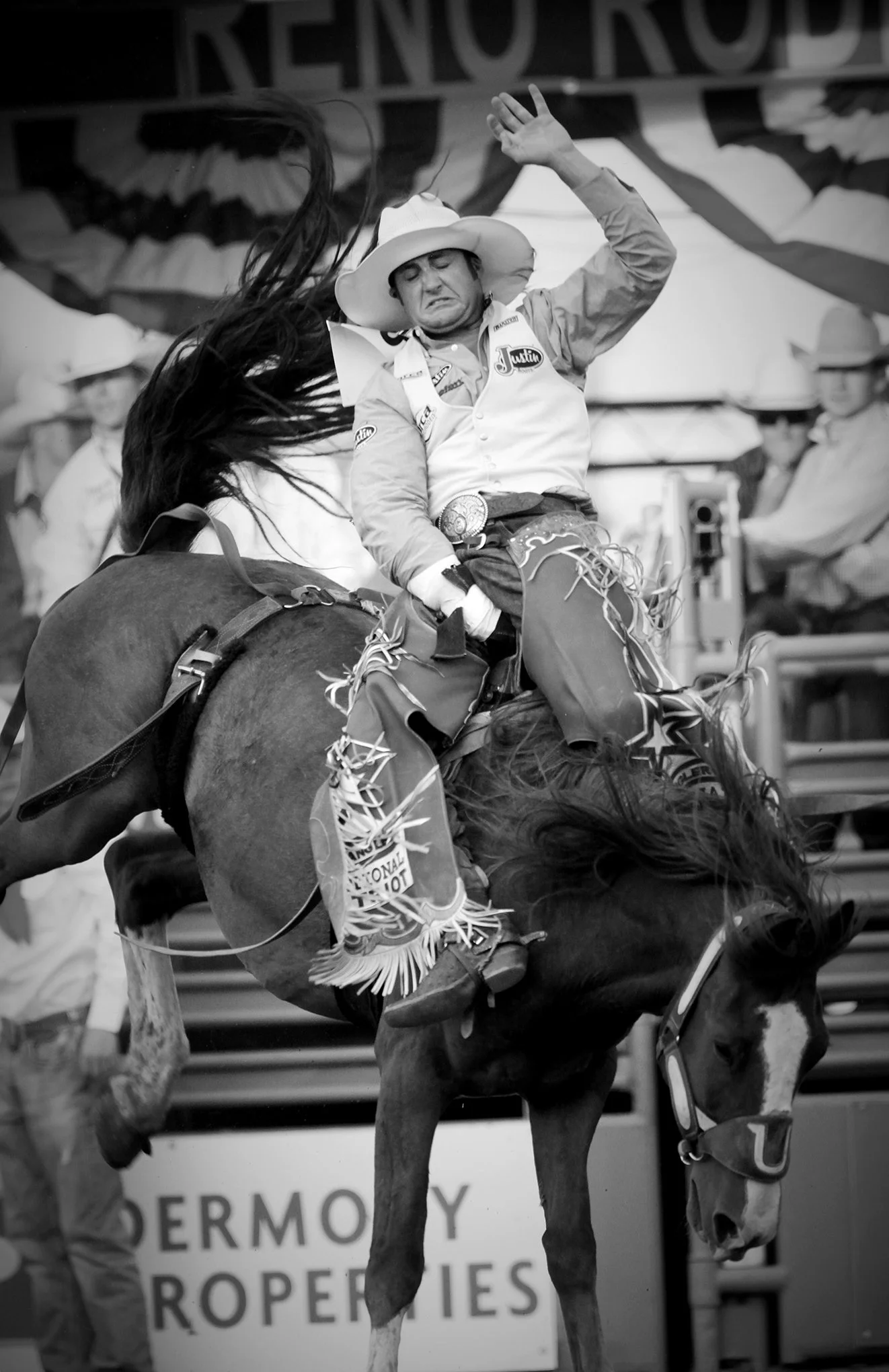 Reno Rodeo by © Dan Callister