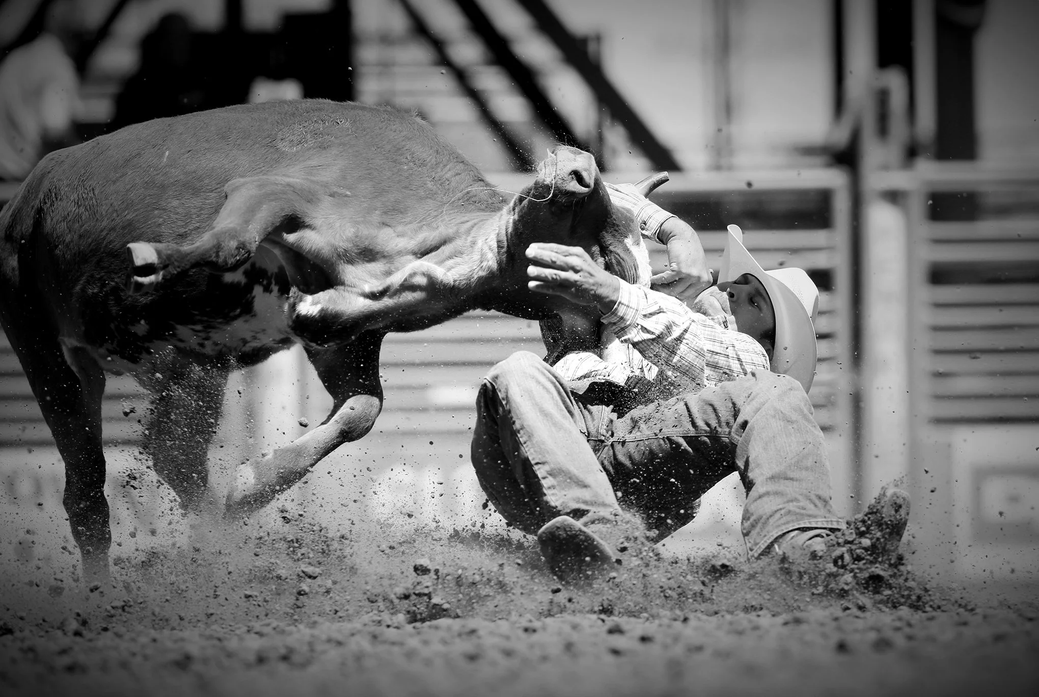 Reno Rodeo by © Dan Callister