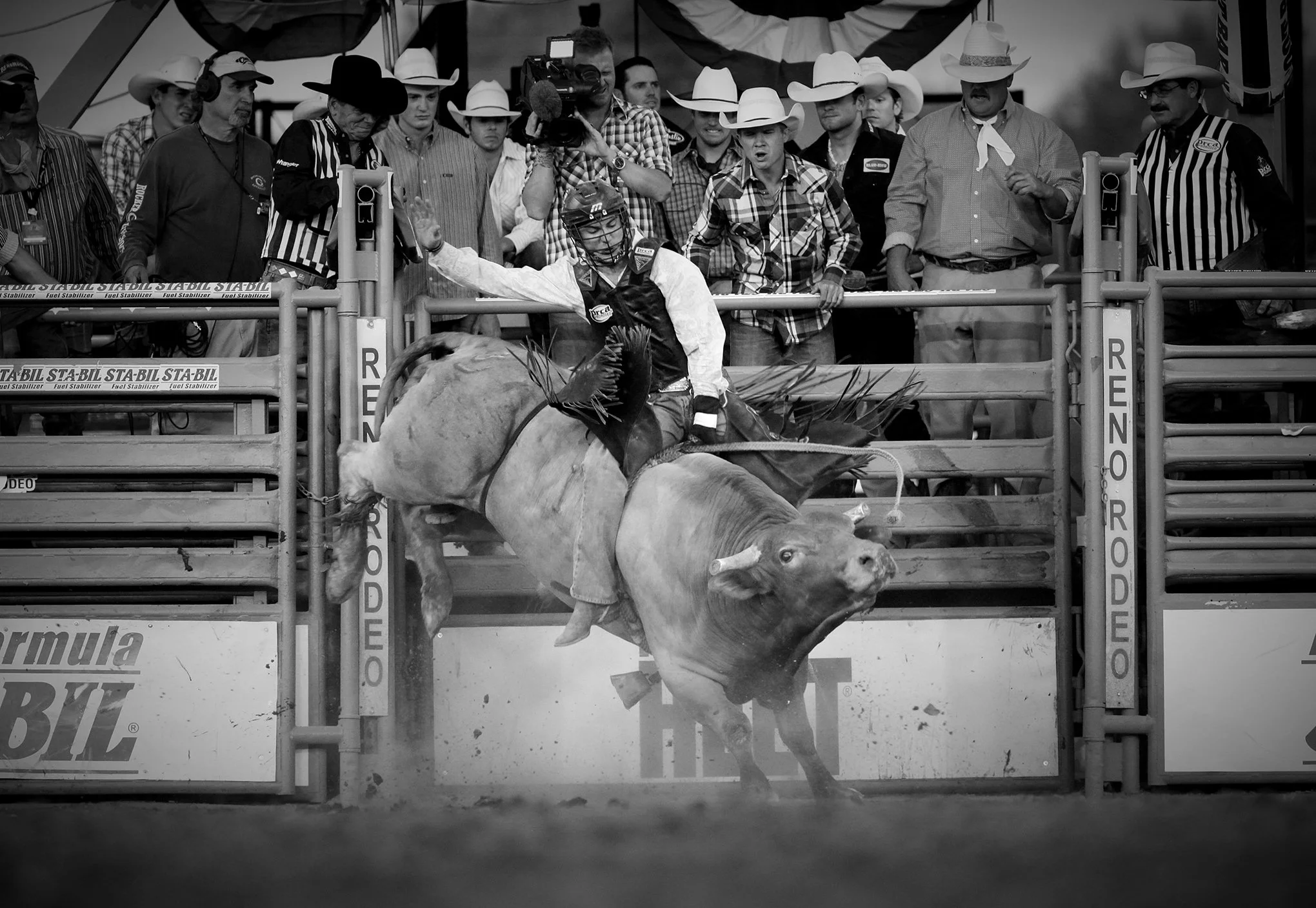 Reno Rodeo by © Dan Callister