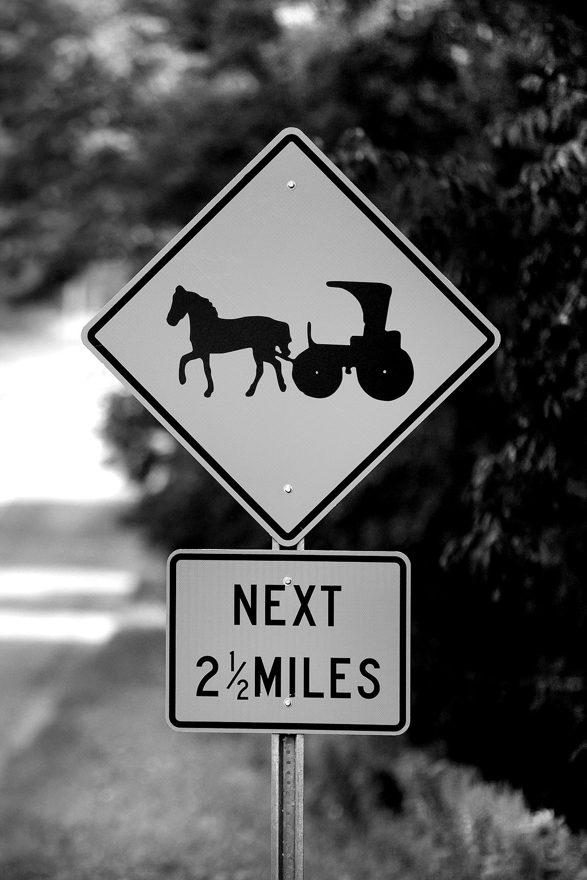 Amish life by © Dan Callister