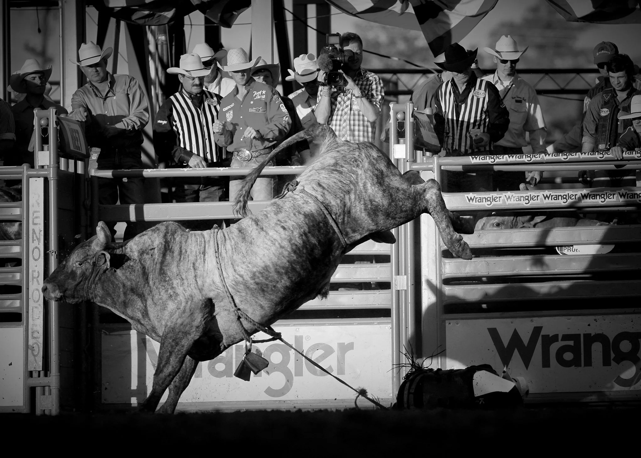 Reno Rodeo by © Dan Callister