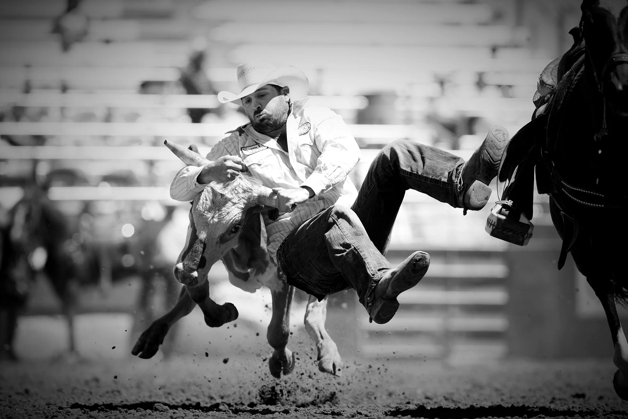 Reno Rodeo by © Dan Callister