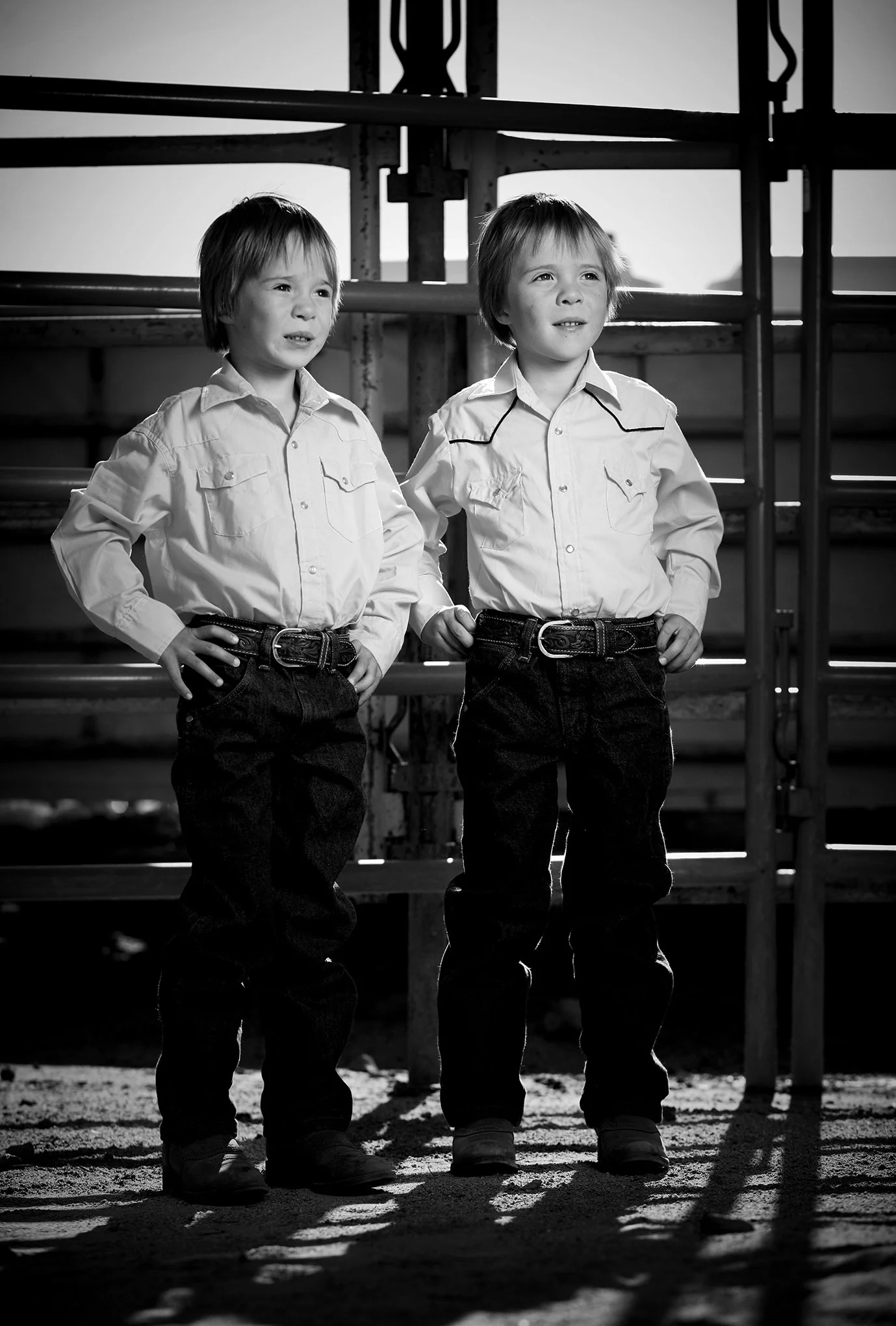 Reno Rodeo by © Dan Callister