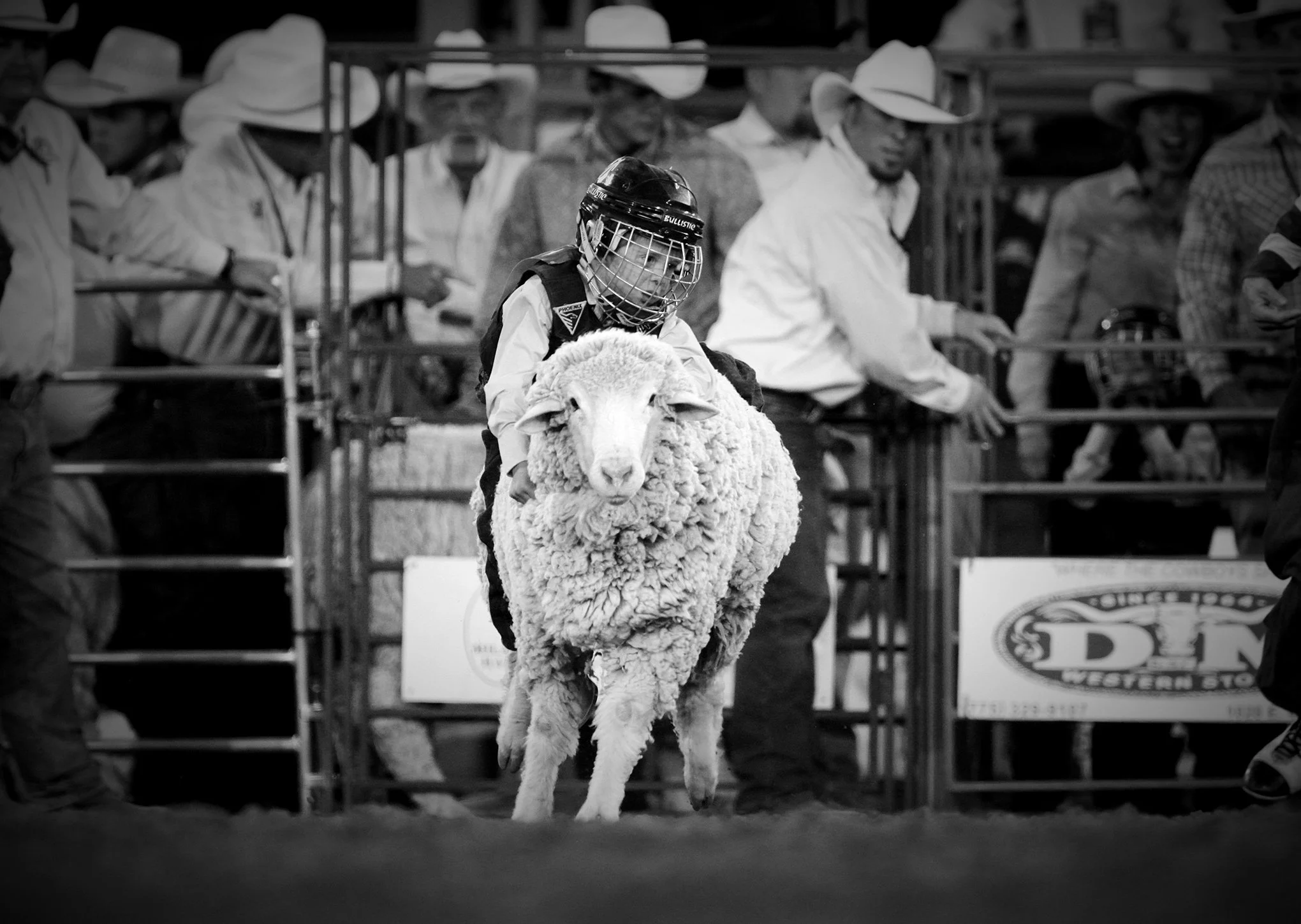 Reno Rodeo by © Dan Callister