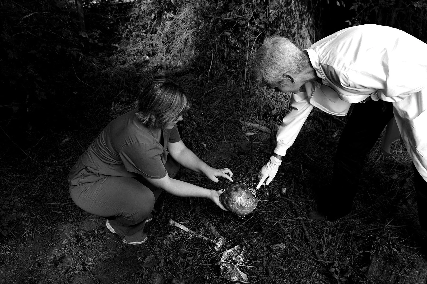 The Body Farm © Dan Callister