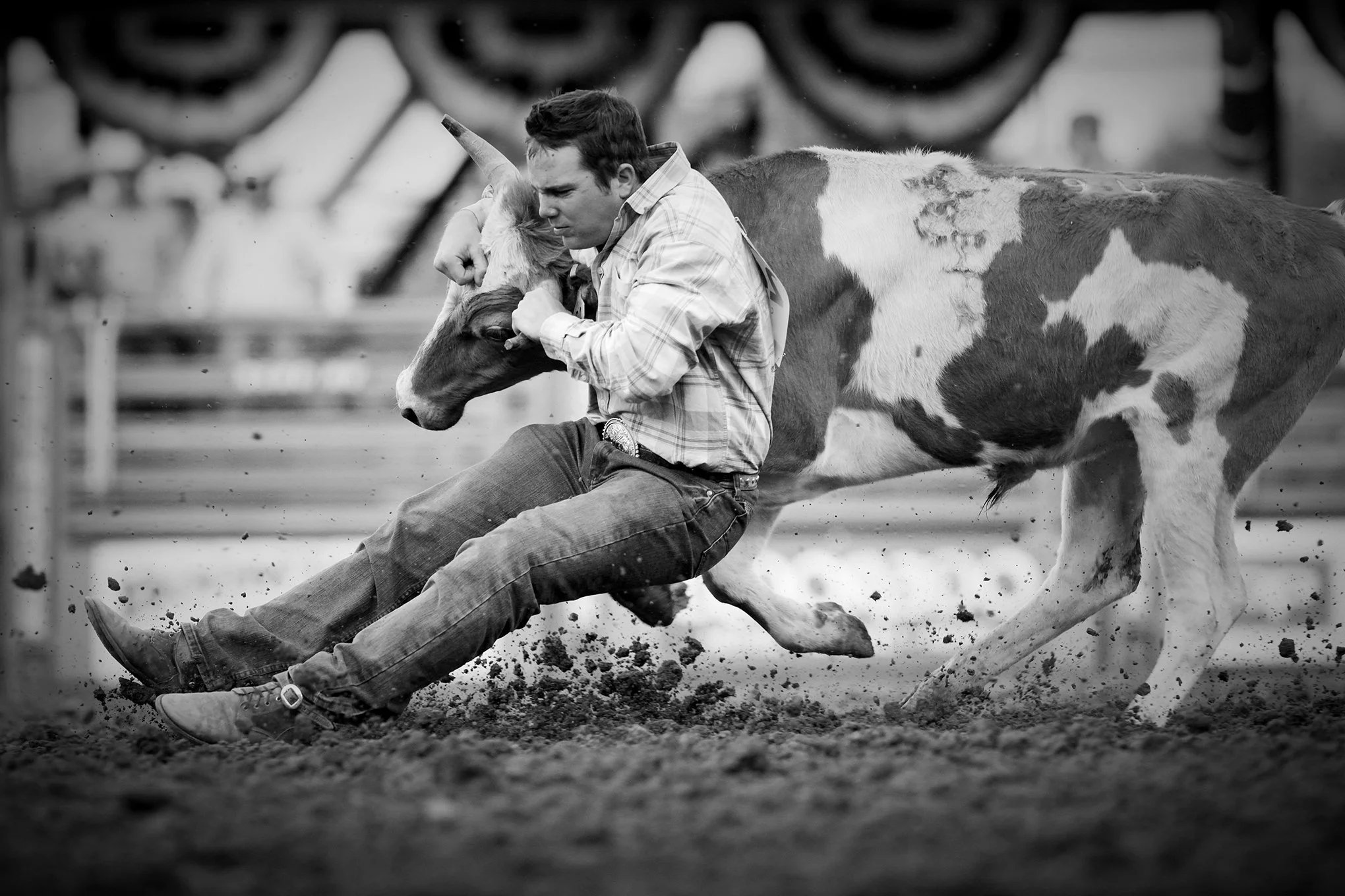 Reno Rodeo by © Dan Callister
