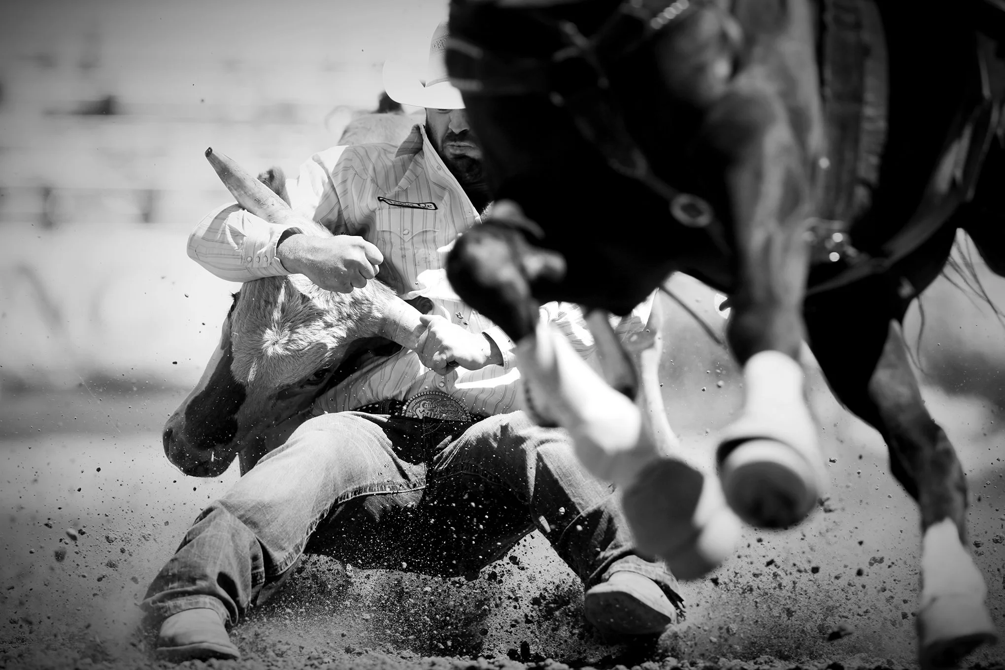 Reno Rodeo by © Dan Callister