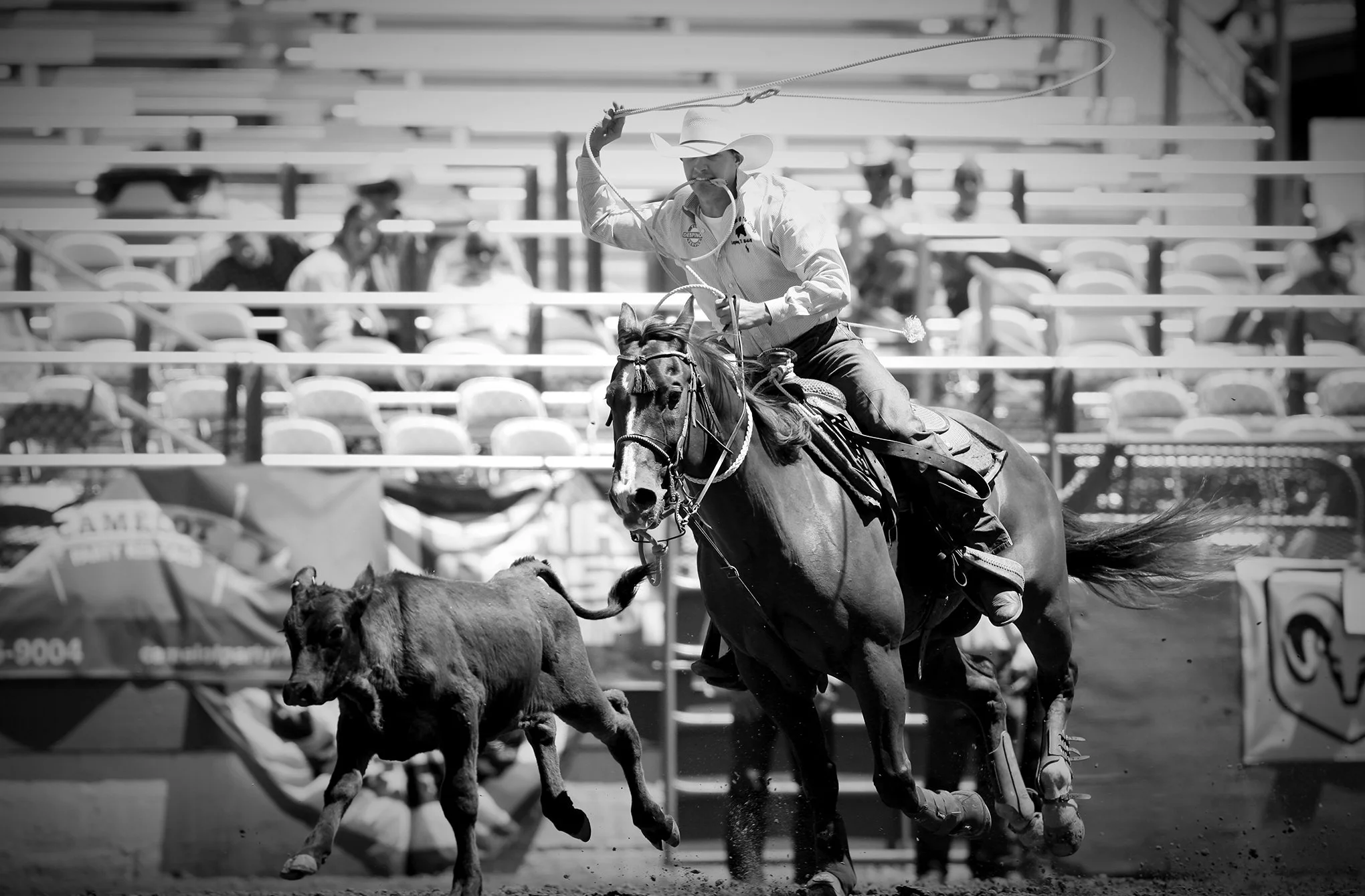 Reno Rodeo by © Dan Callister