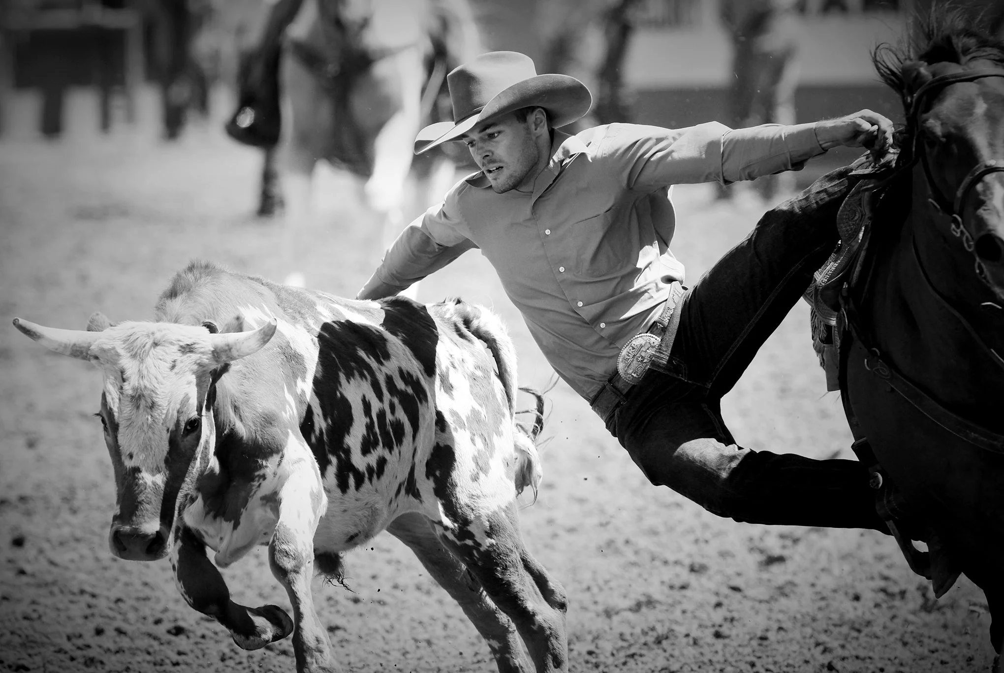 Reno Rodeo by © Dan Callister