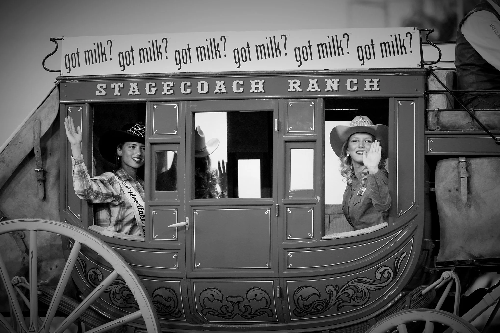 Reno Rodeo by © Dan Callister