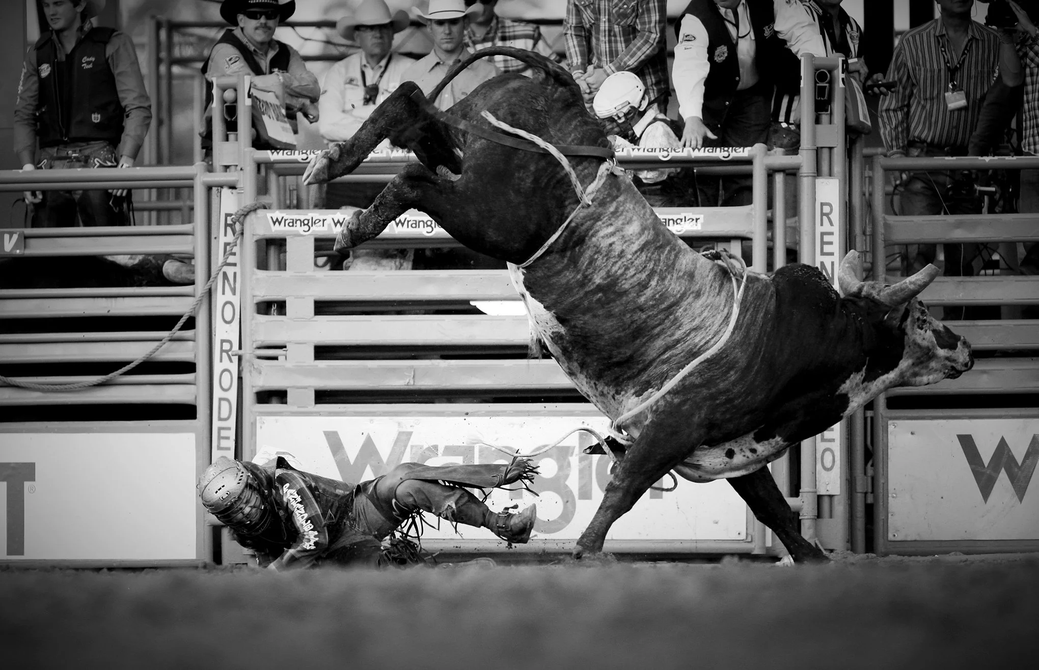 Reno Rodeo by © Dan Callister