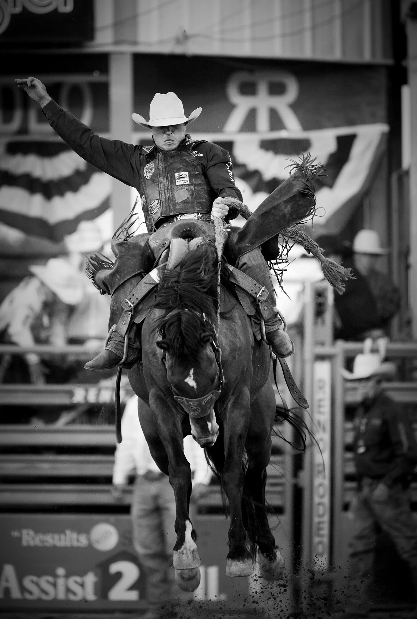 Reno Rodeo by © Dan Callister