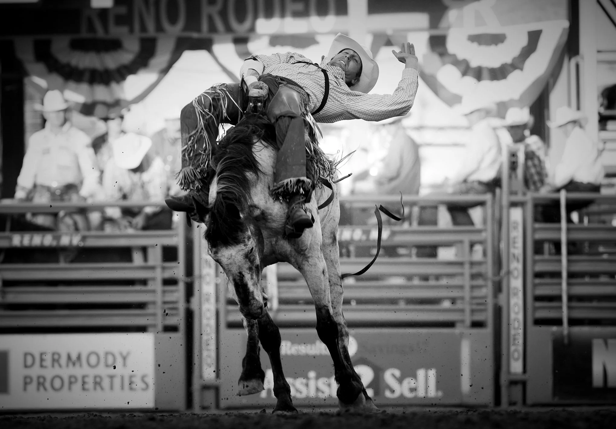 Reno Rodeo by © Dan Callister