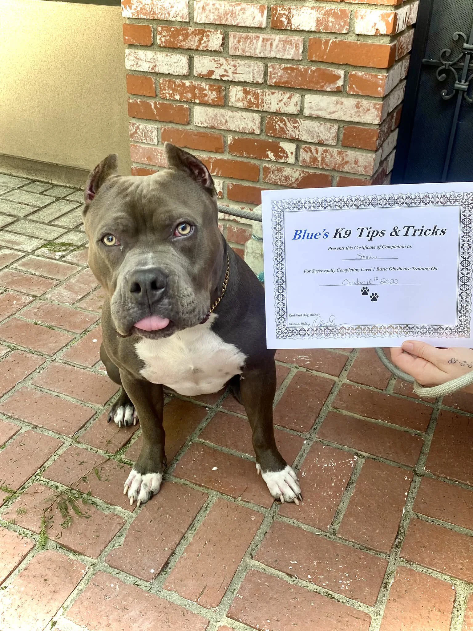 391742699_816548503596696_915255837937289432_n