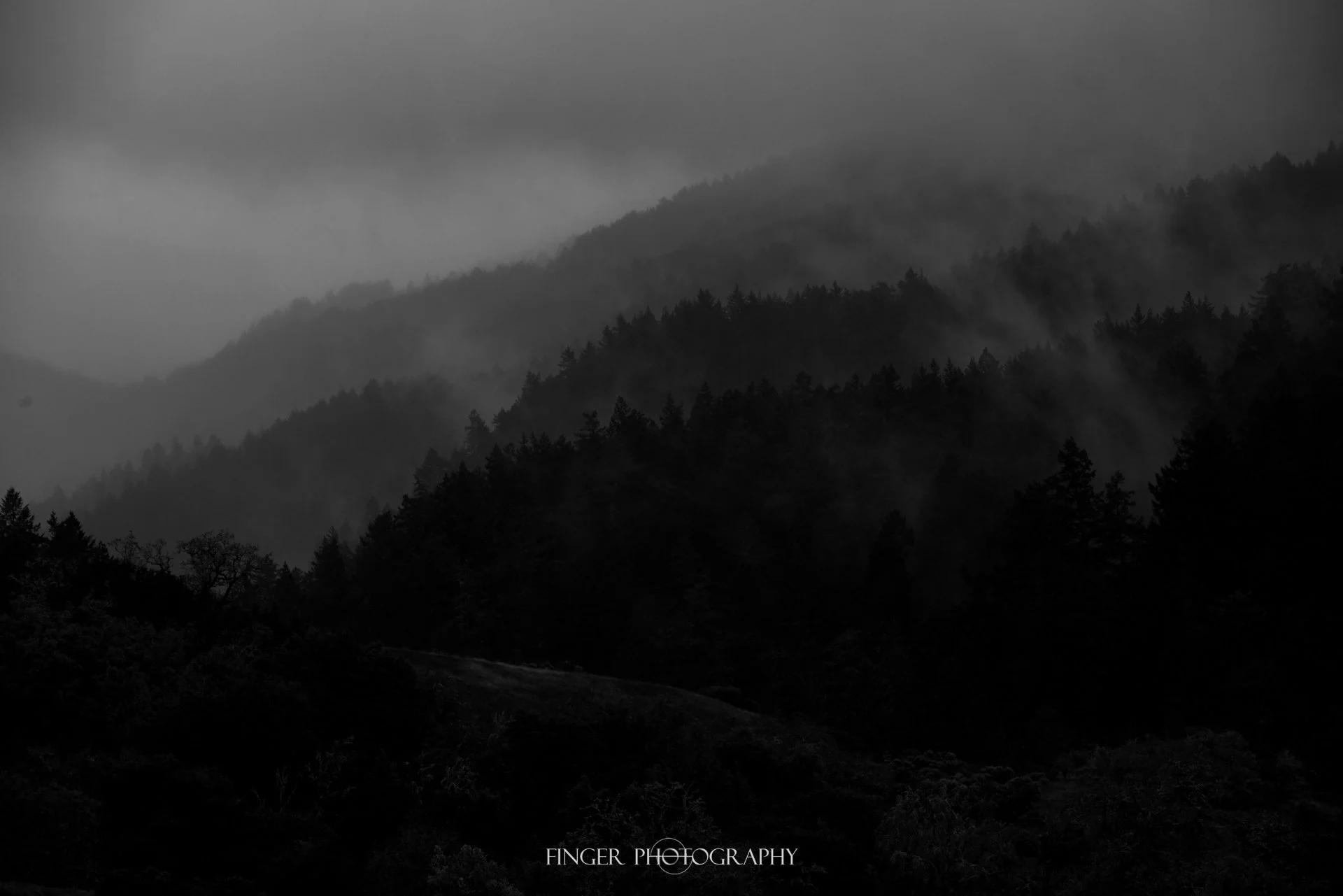 FingerPhotography-MonteBello-3607.jpg