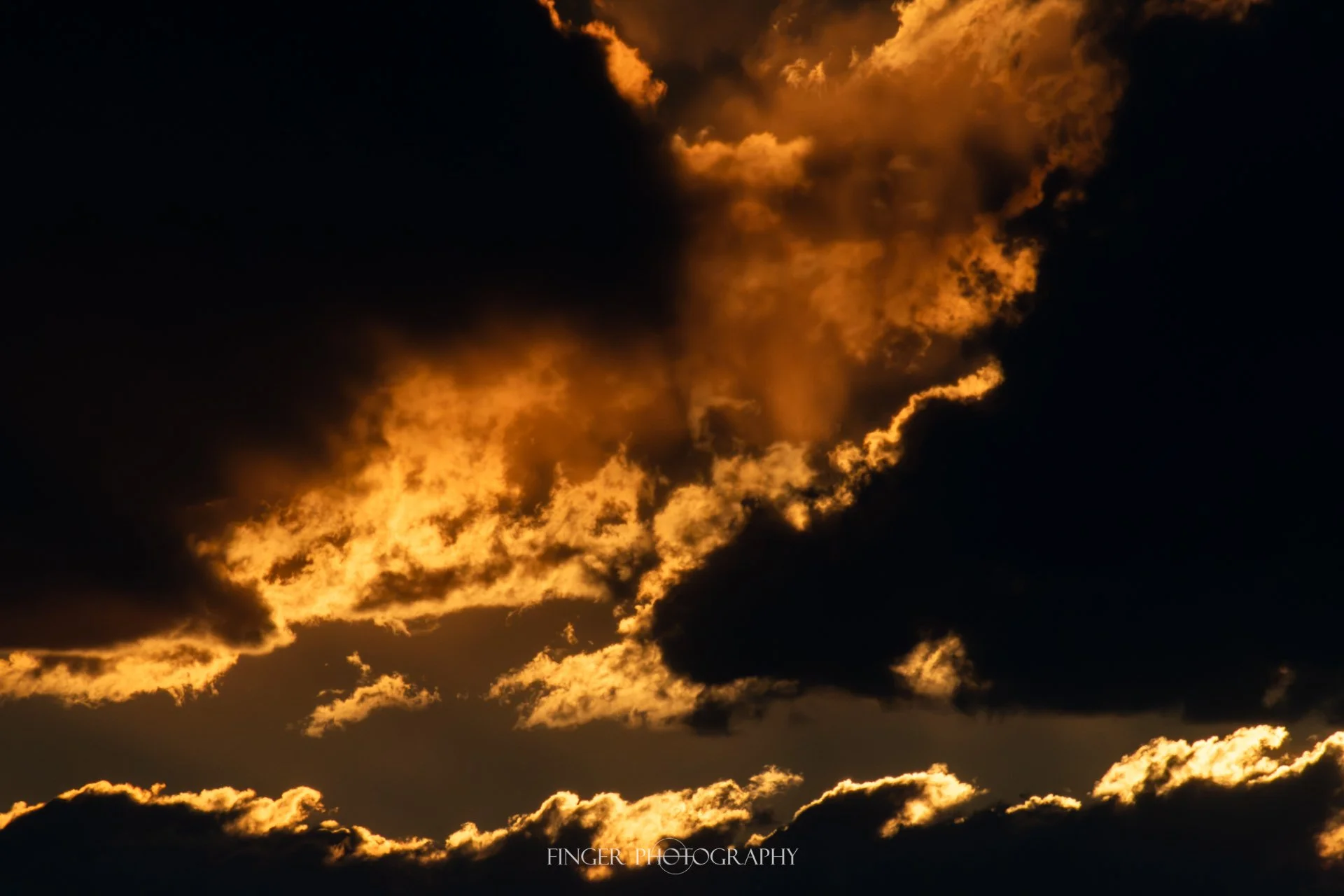FingerPhotography-2026-AspenAcres_2895.jpg