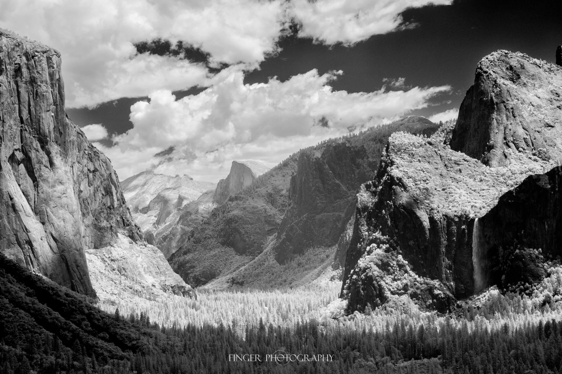 FingerPhotography-2021-Yosemite-8899.jpg