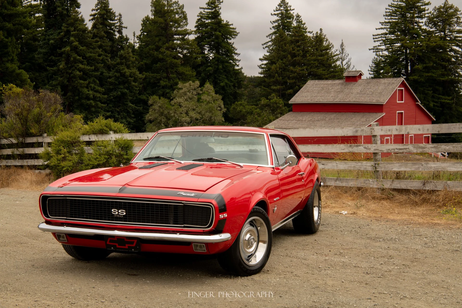 FingerPhoto-2025-1967Camaro-4307.jpg