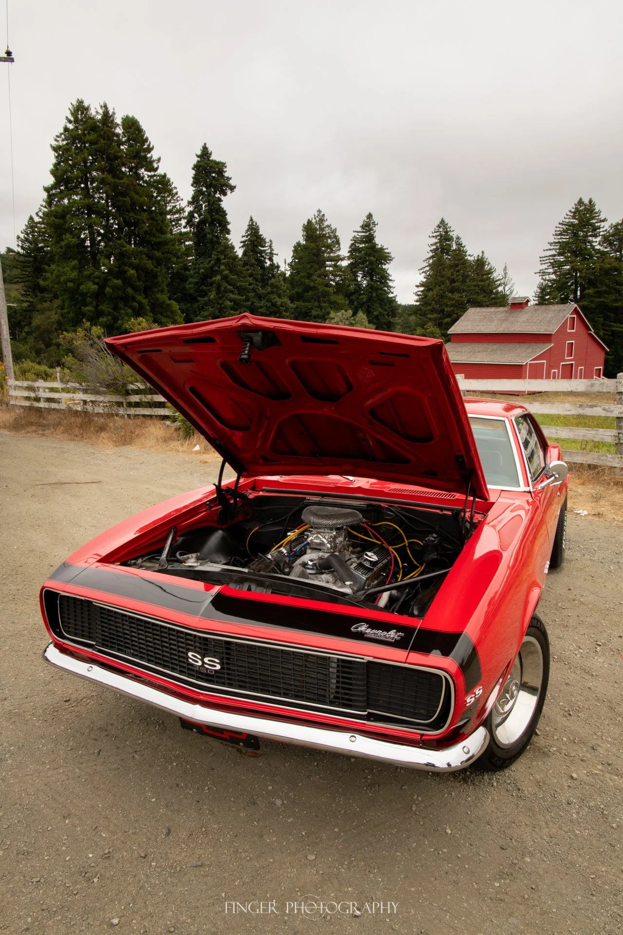 FingerPhoto-2025-1967Camaro-4342.jpg