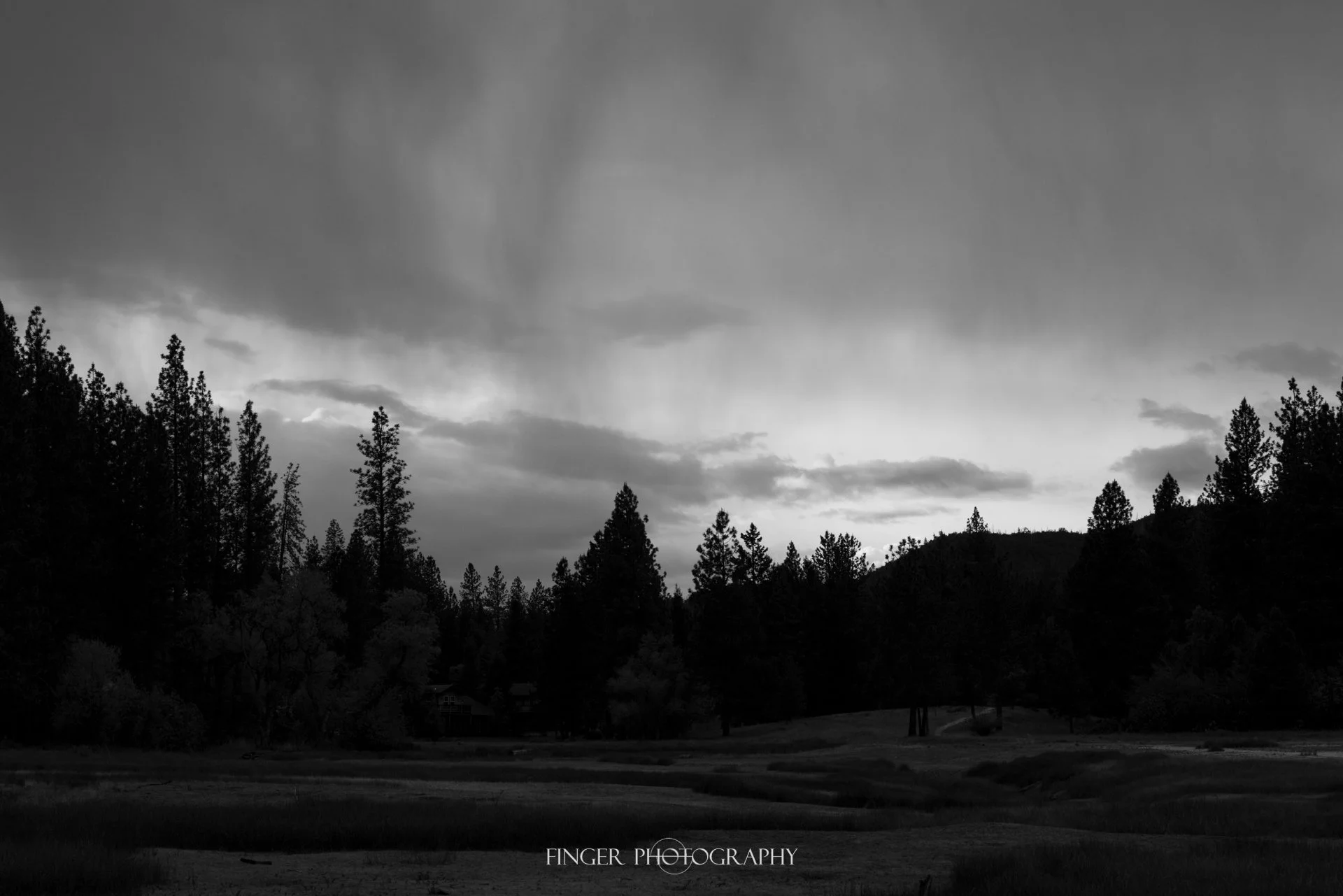 FingerPhotography-2021-BassLake-6173.jpg