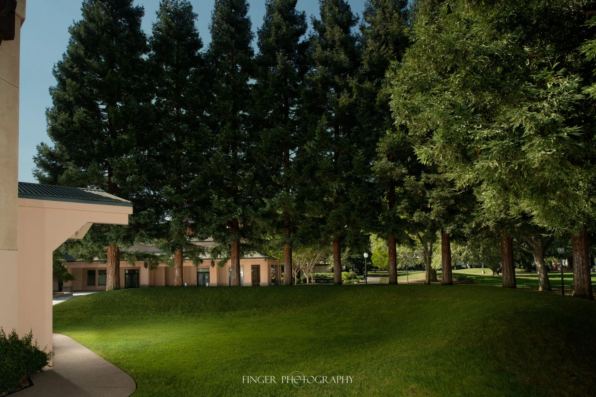 FingerPhotography-MVCPA-OutdoorStage-View1-V2.jpg