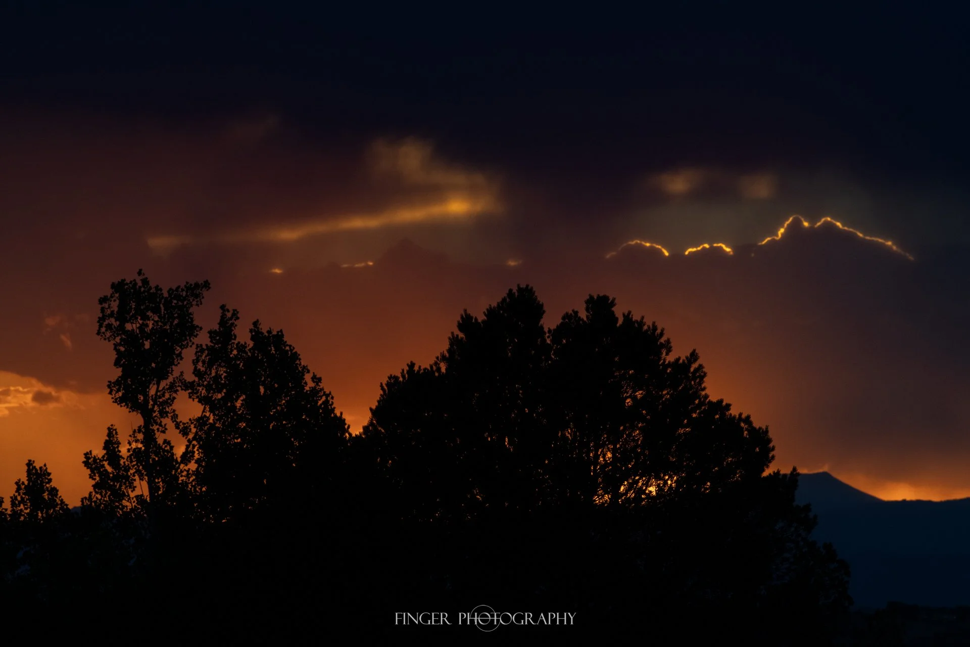 FingerPhotography-2026-AspenAcres-35_4306.jpg