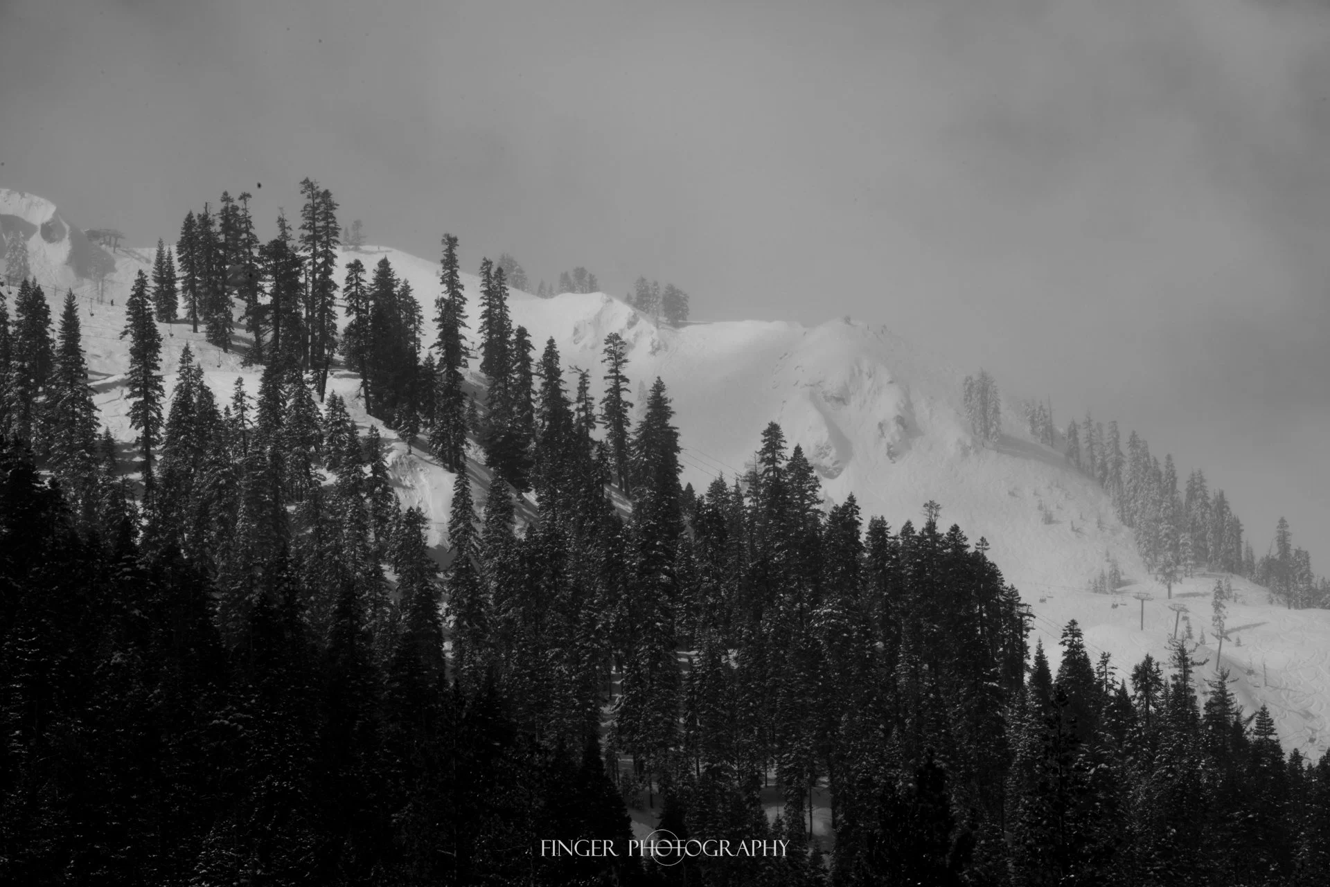 FingerPhotography-SquawValley-8564.jpg
