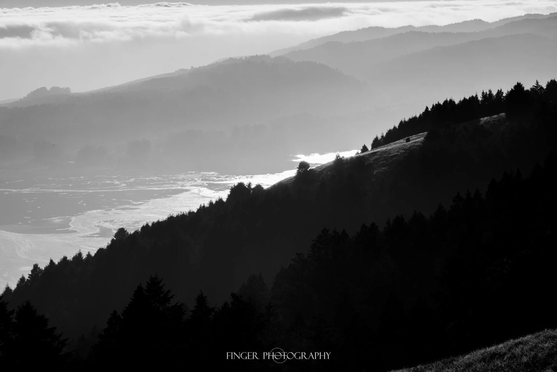 FingerPhotography-C-MountTam-9120.jpg