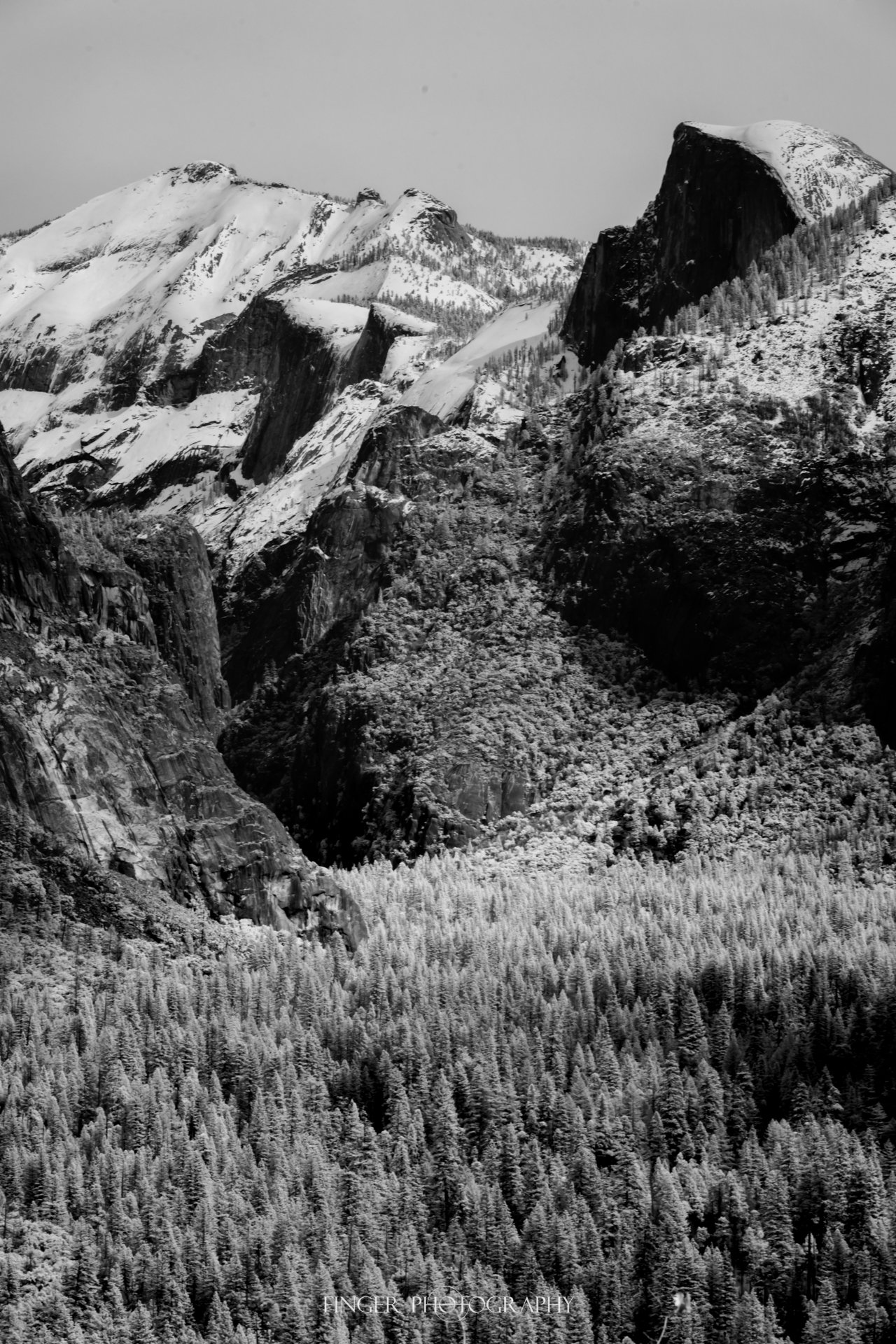 FingerPhotography-2024-Yosemite-6256-2.jpg