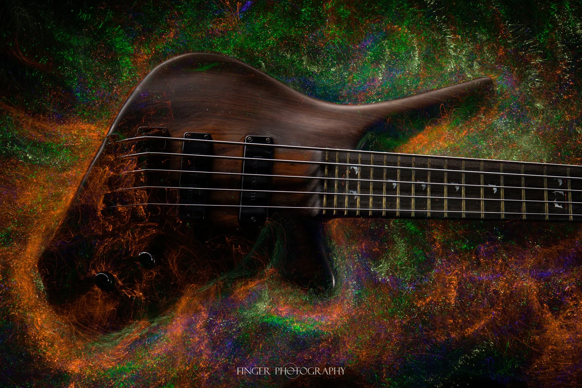 FingerPhotography-Warwick-DolphinPro1-12.jpg